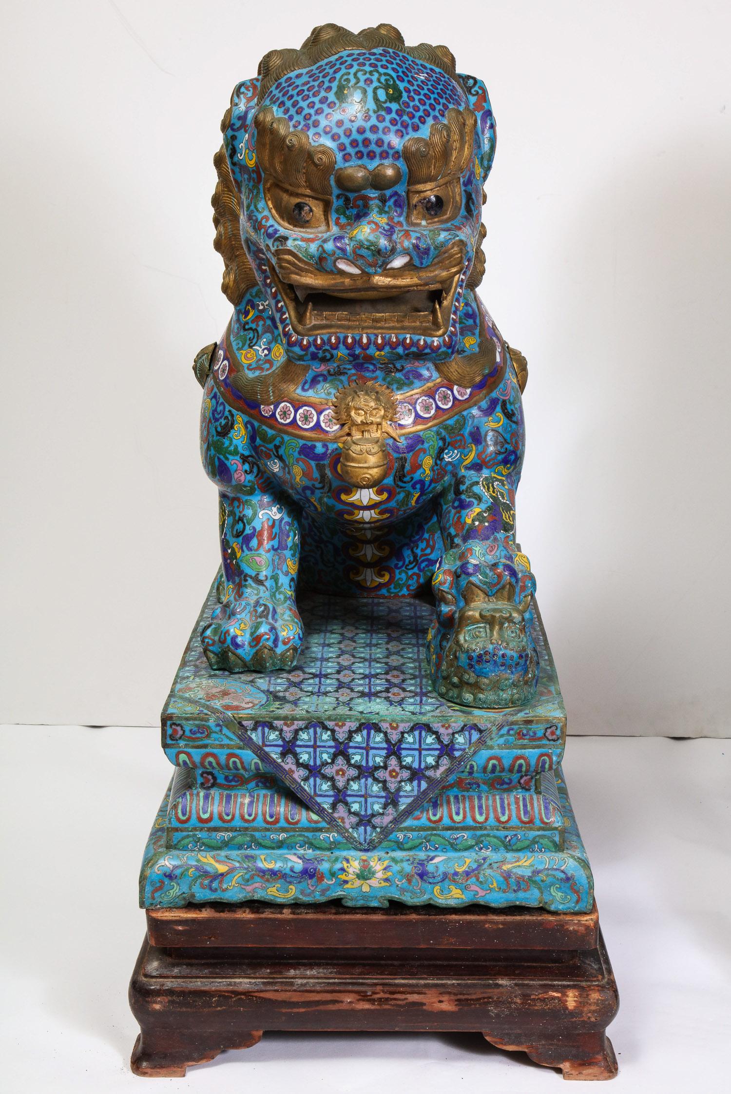 Chinese Export Massive Pair of Chinese Cloisonne Enamel Foo Dogs Lions on Wood Stands