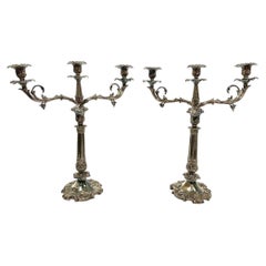 Massive Pair Of Vintage Well Cast Louis XV Style Triple Silverplate Candelabra