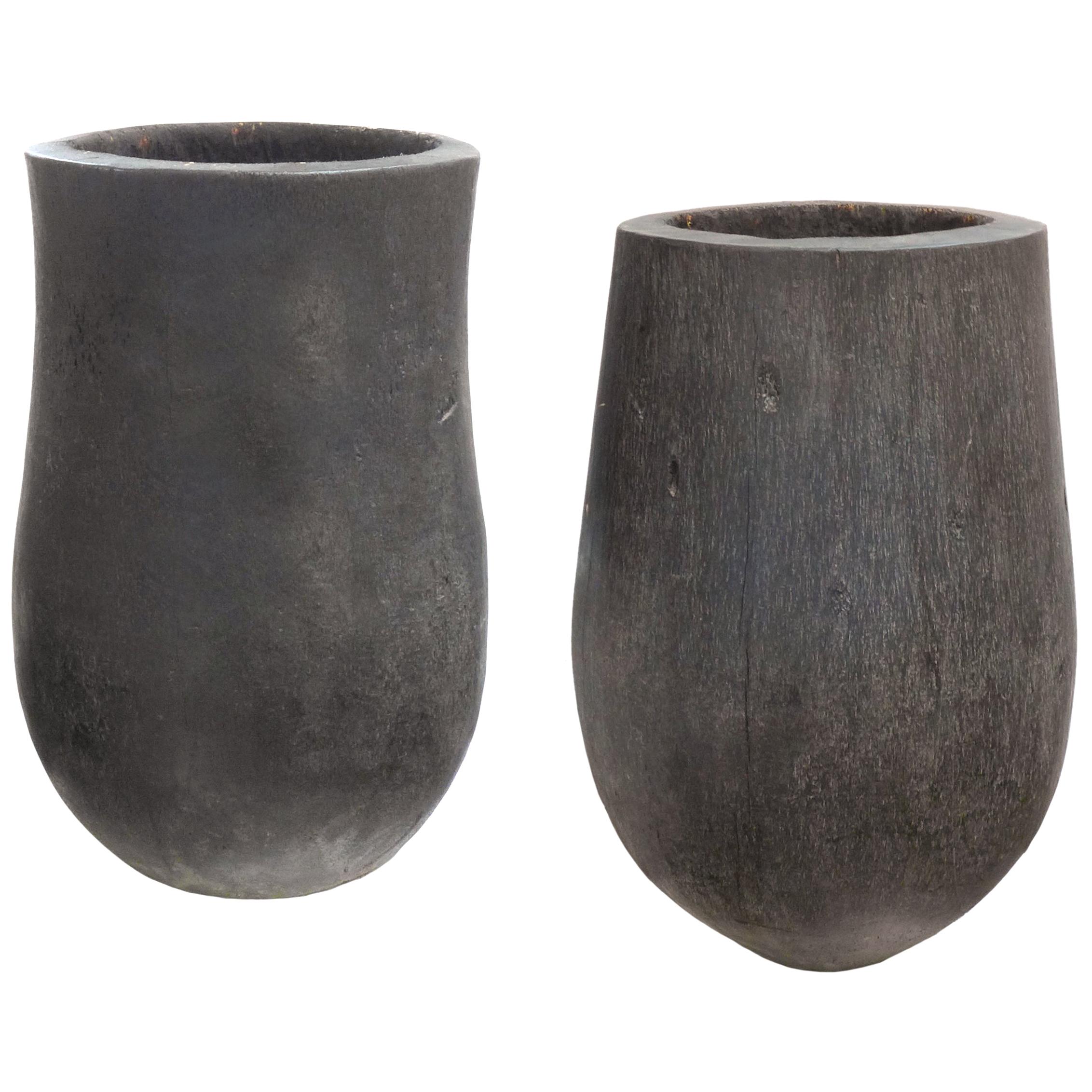 Massive Palm Tree Trunk Planters