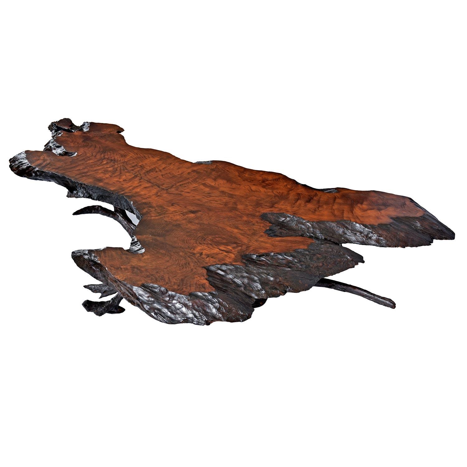 American Massive Rustic Amorphic Live Edge Cypress Root Stump Slab Coffee Table