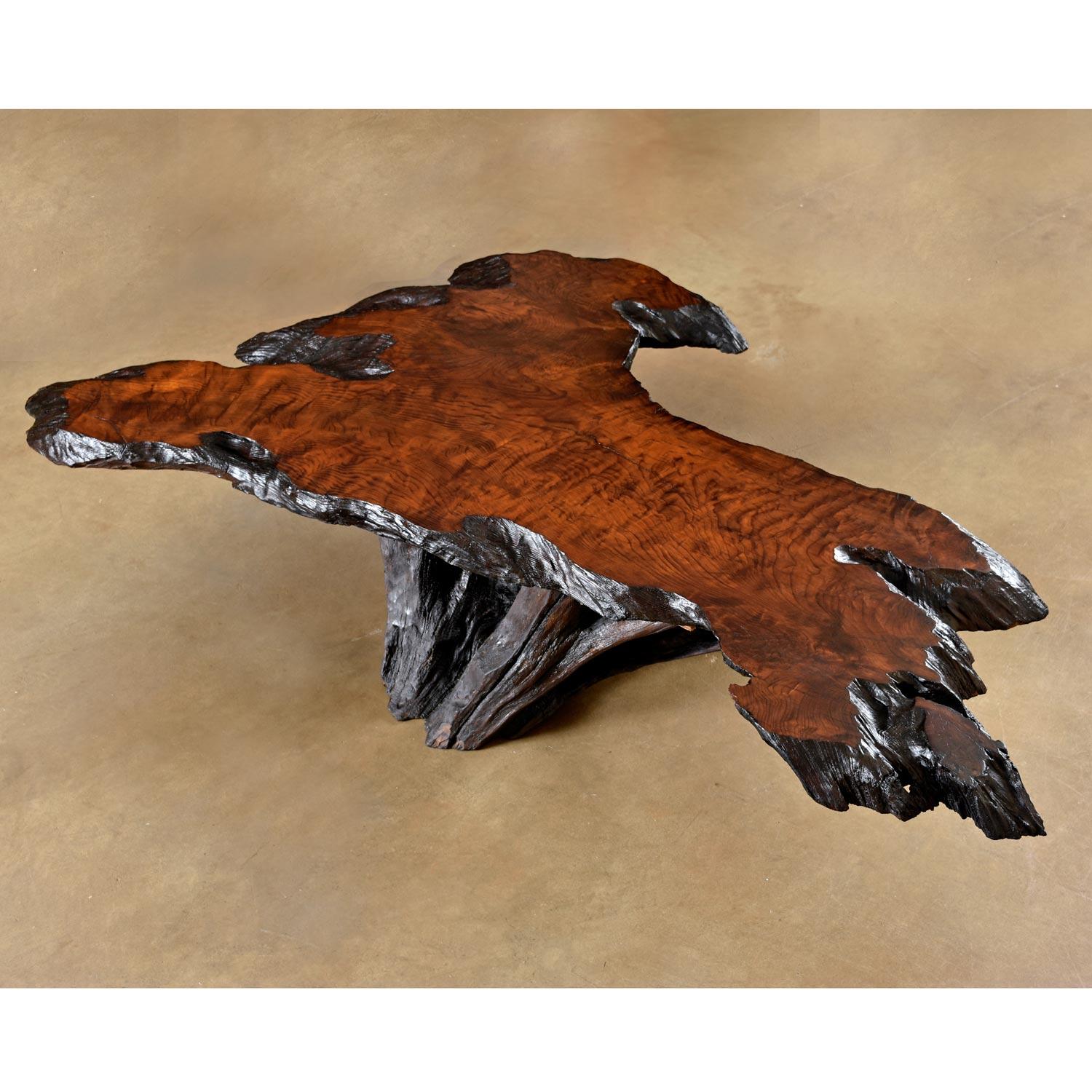 Massive Rustic Amorphic Live Edge Cypress Root Stump Slab Coffee Table In Excellent Condition In Chattanooga, TN