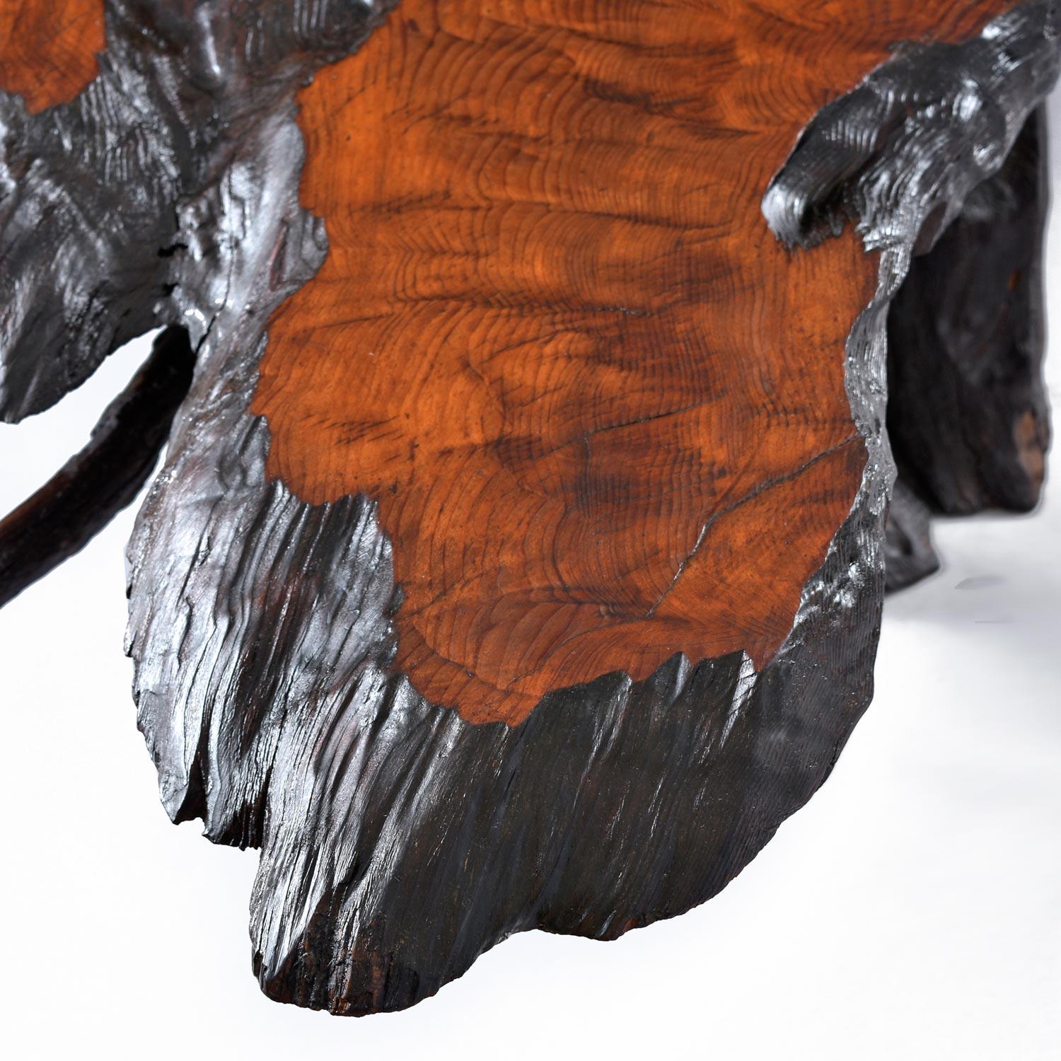 Massive Rustic Amorphic Live Edge Cypress Root Stump Slab Coffee Table 1