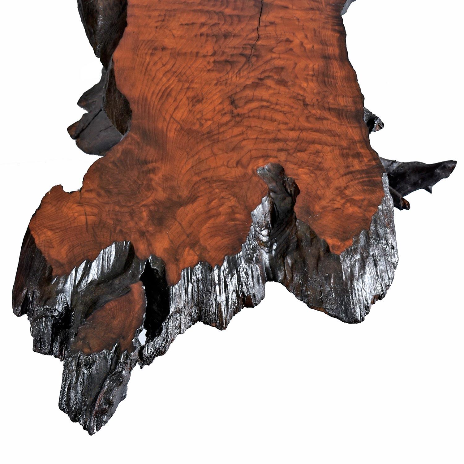 Massive Rustic Amorphic Live Edge Cypress Root Stump Slab Coffee Table 2