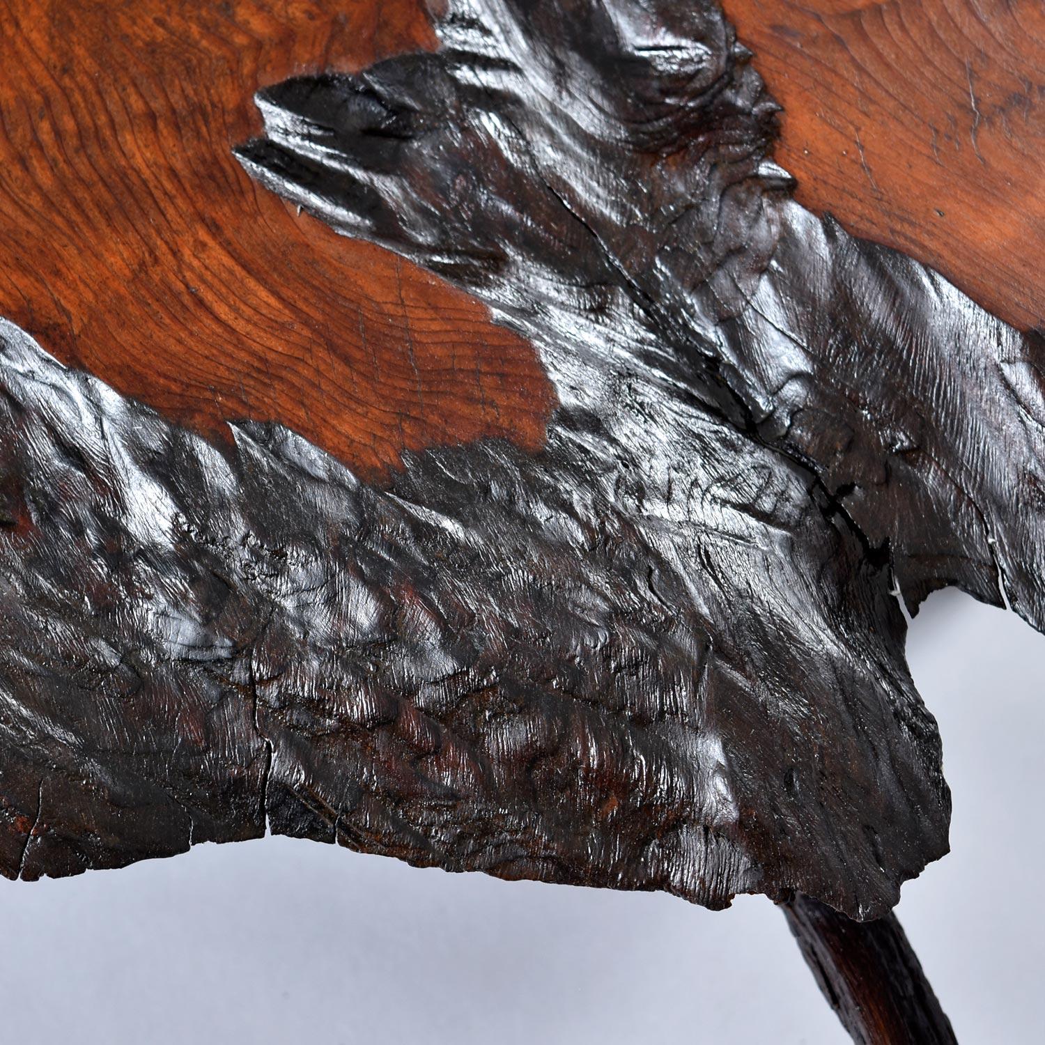 Massive Rustic Amorphic Live Edge Cypress Root Stump Slab Coffee Table 3