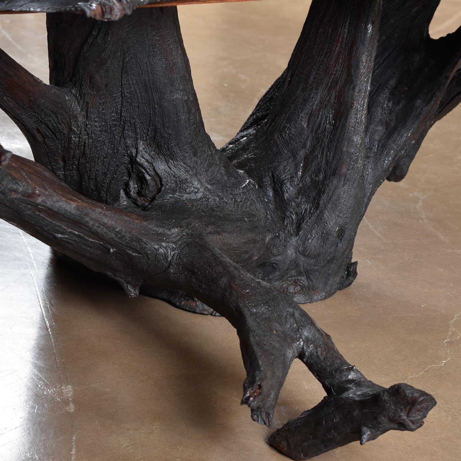 Massive Rustic Amorphic Live Edge Cypress Root Stump Slab Coffee Table 4