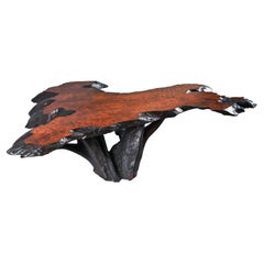 Massive Rustic Amorphic Live Edge Cypress Root Stump Slab Coffee Table