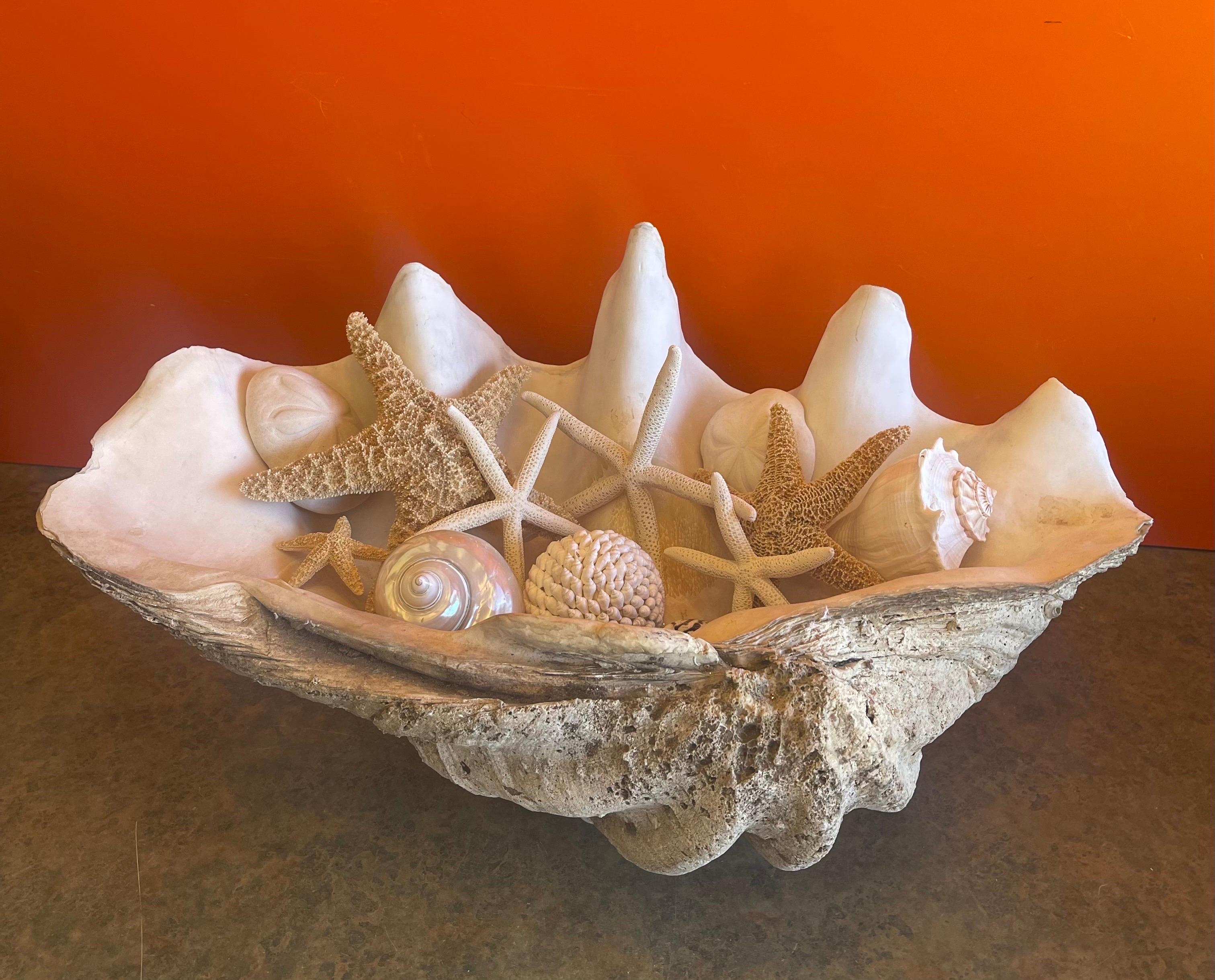 A massive sculptural giant south Pacific Ocean clam shell (Tridacna gigas) with decorative shells and starfish, circa 20th century.  This magnificent piece is in very good condition and measures 26