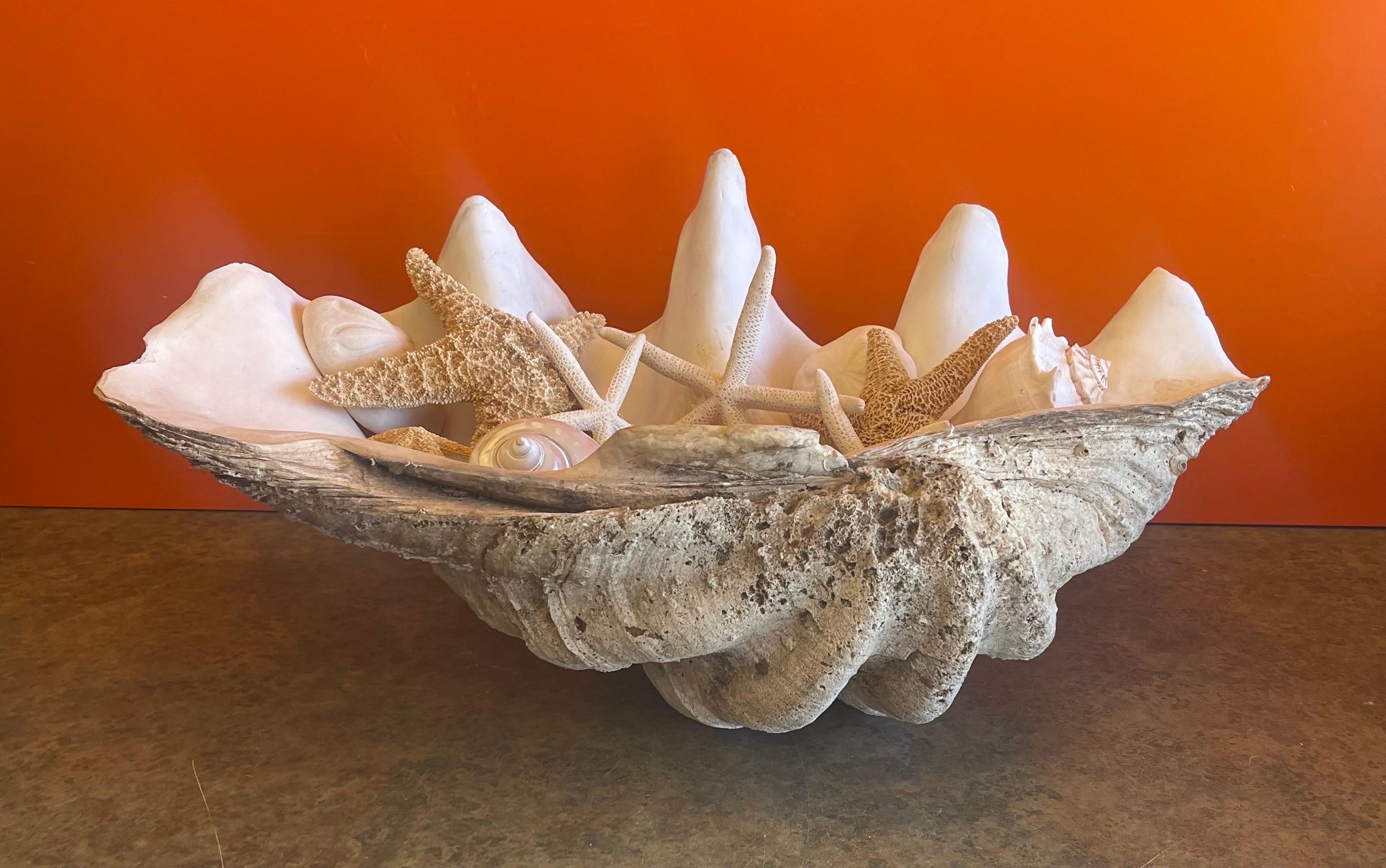 Hollywood Regency Massive Sculptural Giant South Pacific Clam Shell with Shells and Starfish