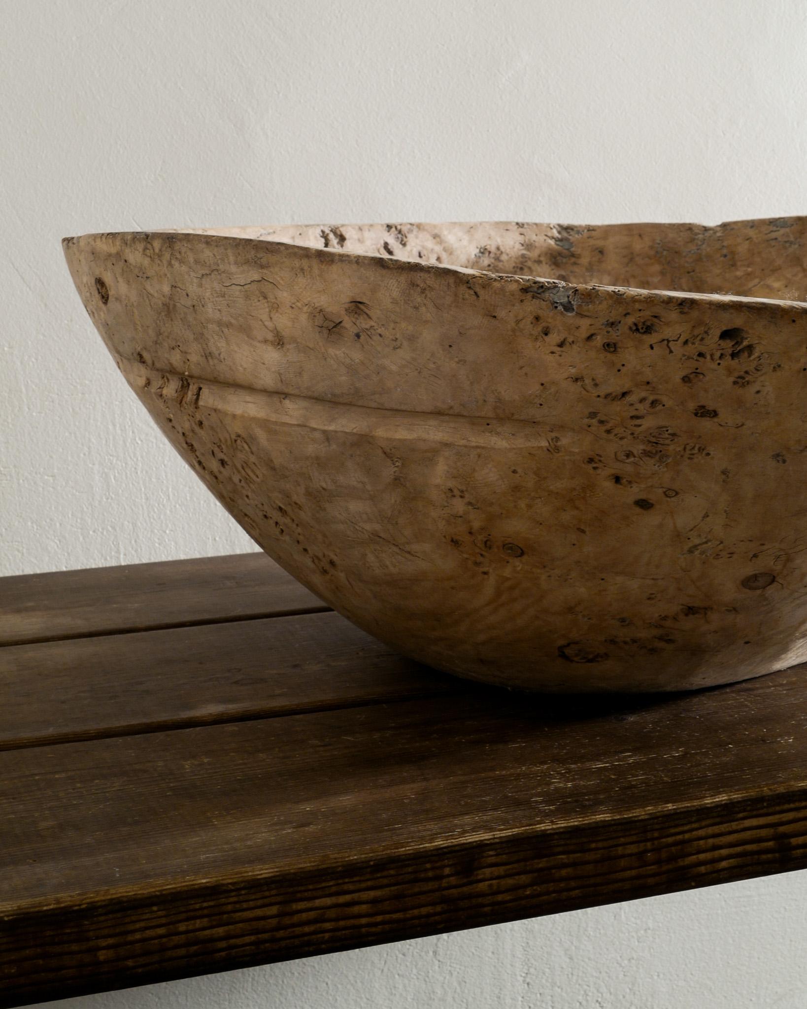 Massive Swedish Wooden Root Mid Century Bowl in Elm Produced in Sweden, 1970s In Good Condition For Sale In Stockholm, SE