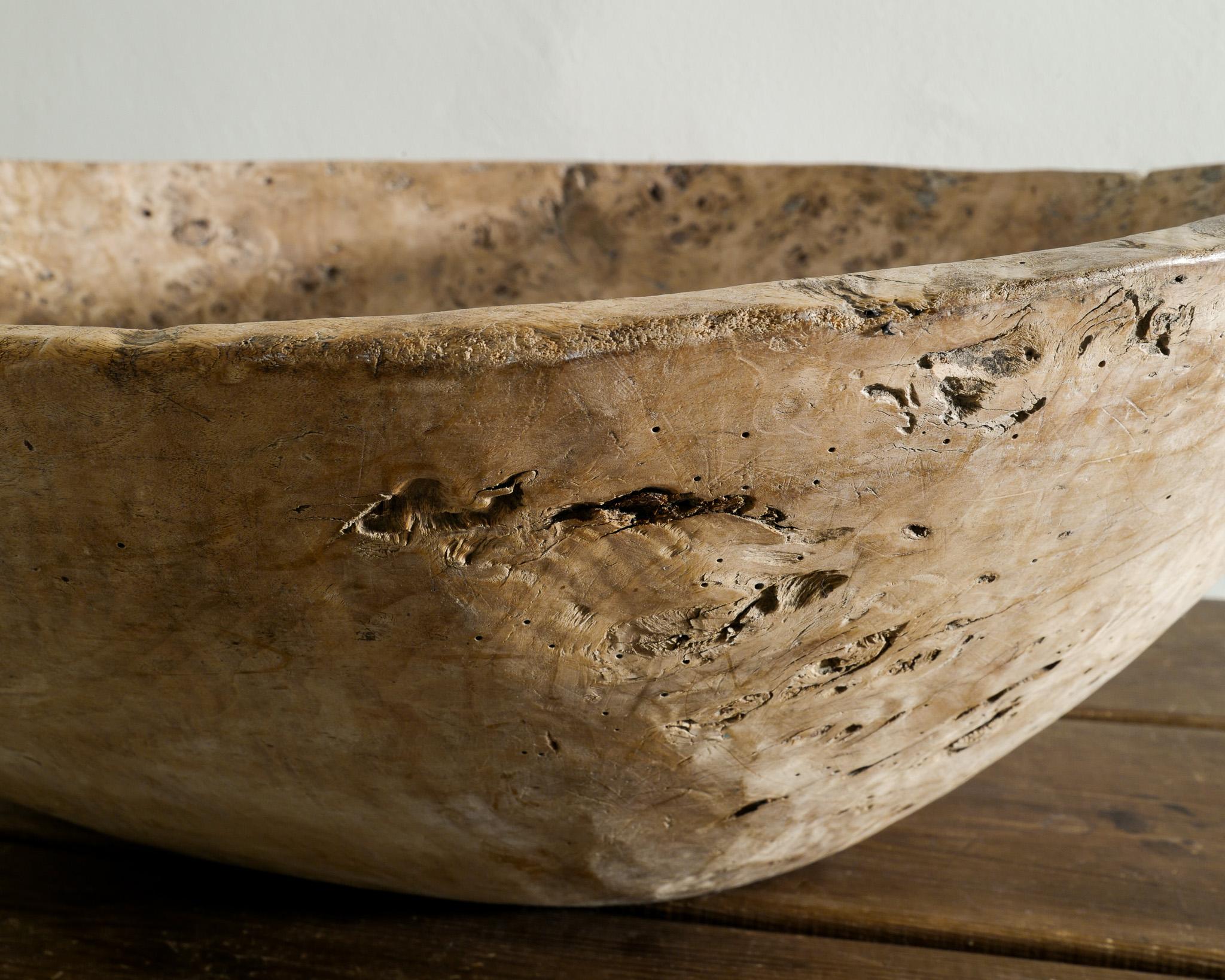 Massive Swedish Wooden Root Mid Century Bowl in Elm Produced in Sweden, 1970s For Sale 1