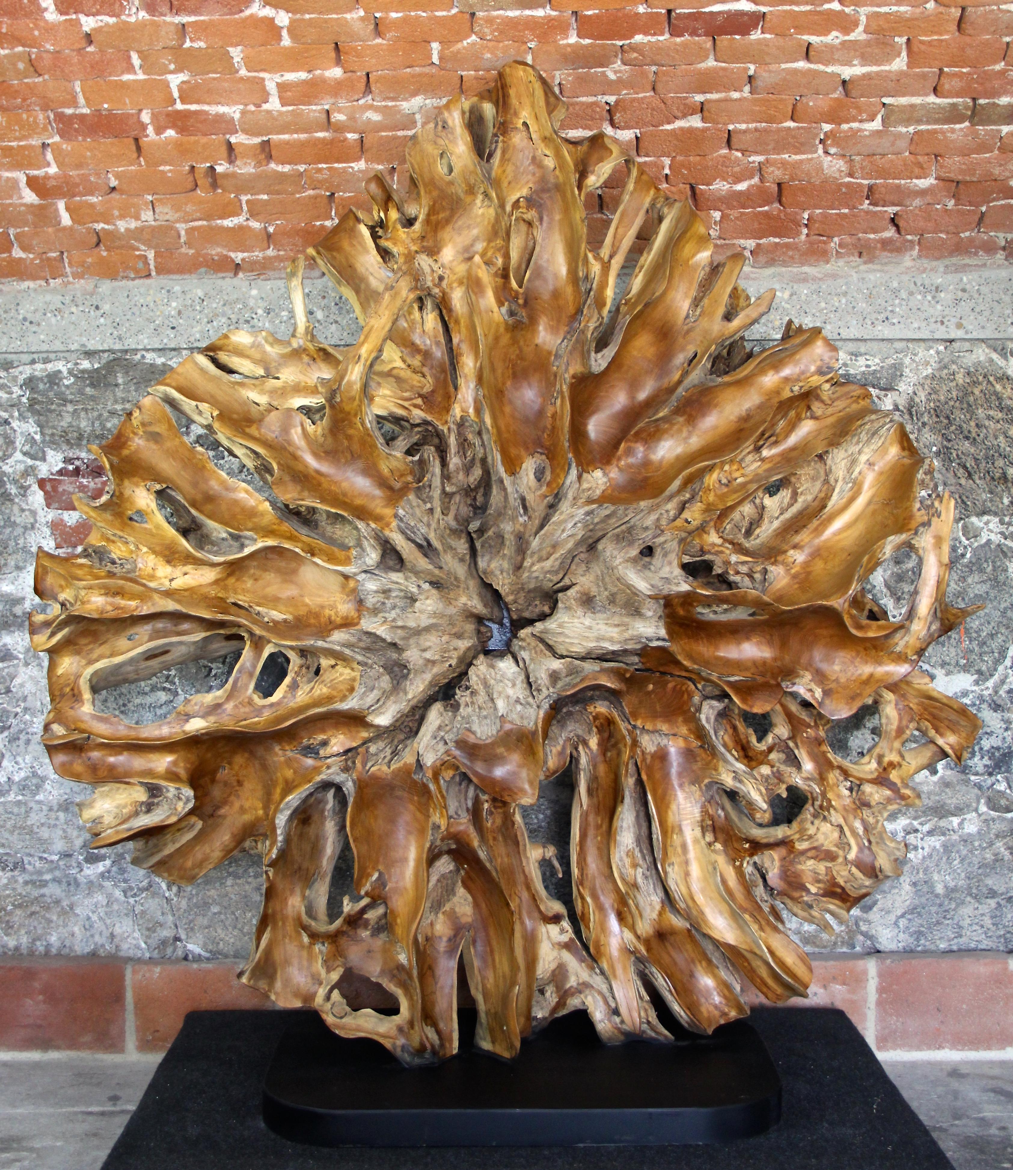 Amazing massive teak root sculpture out of Indonesia. Artfully processed by a highly talented local artist, this large decorative teak root sculpture has been hollowed and polished in weeks of hard work to make it what it is: an absolute unique eye