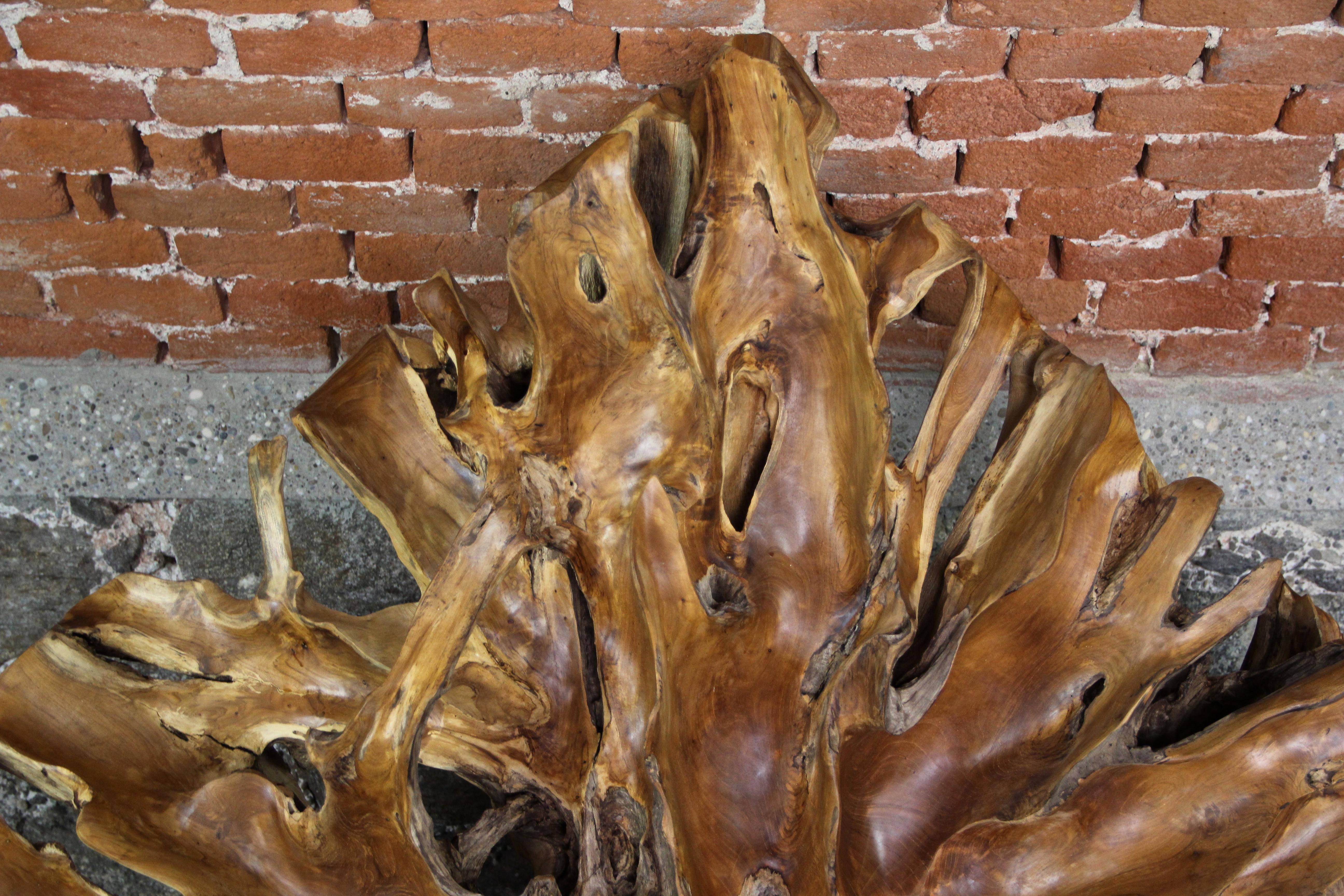 Massive Organic Teak Root Sculpture 