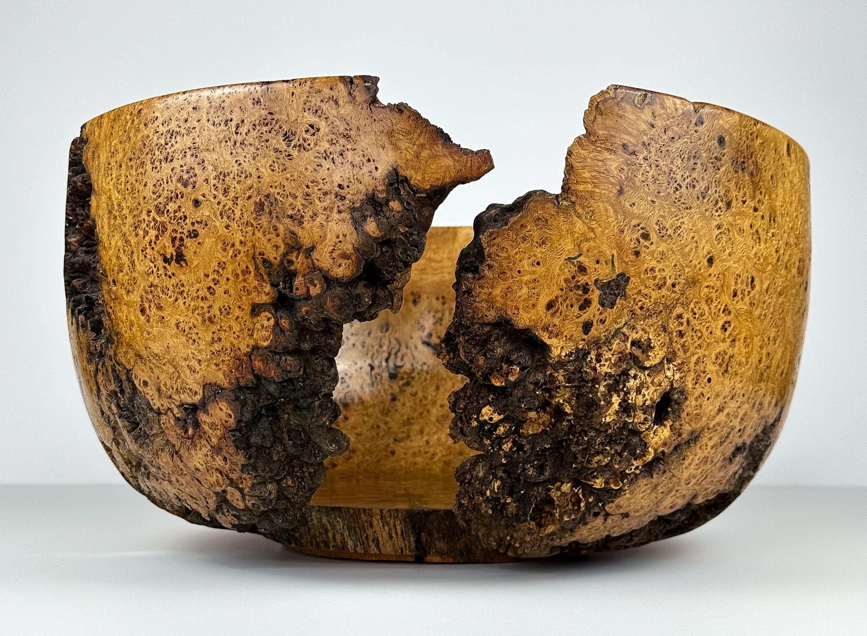 Massive Turned Mesquite Burl Wood Centerpiece Bowl Inlaid with Azurite 7
