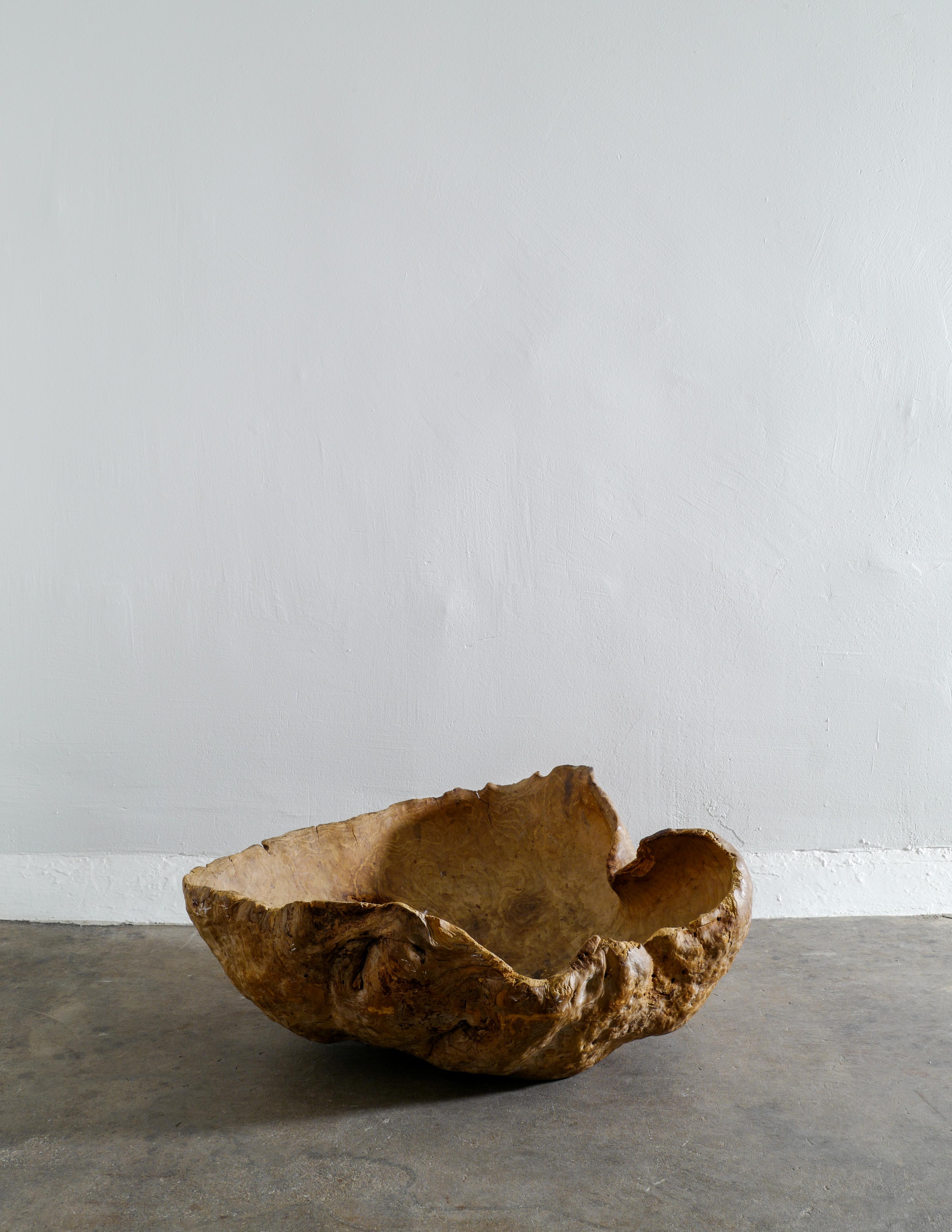 Rare and massive root bowl in a primitive and wabi-sabi style. Produced in Sweden and very organic shaped. In good vintage condition with some signs from age and use. Very unique both for its style and size.