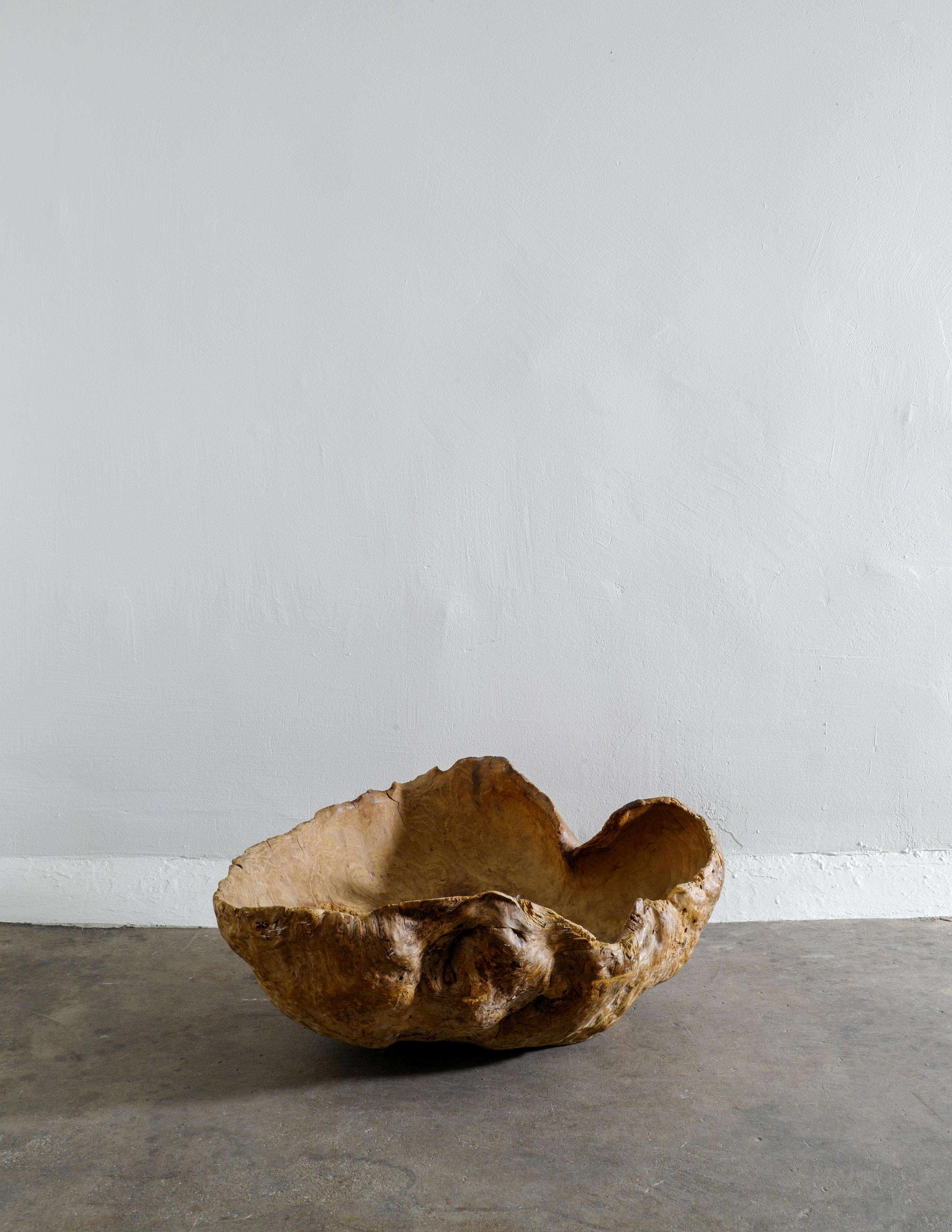 Hand-Carved Massive Wabi Sabi Primitive Root Bowl in Birch Produced in Sweden Early 1900s