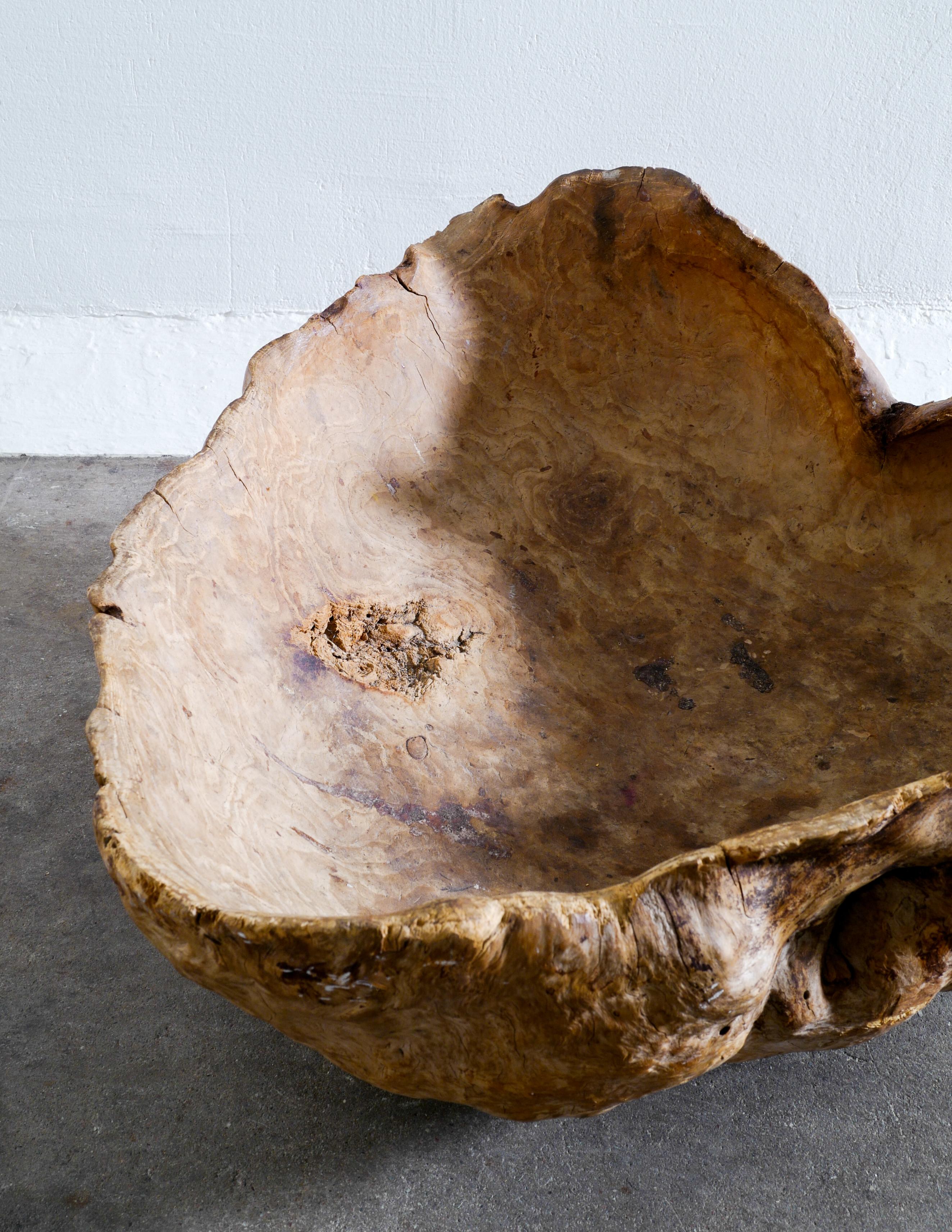 Massive Wabi Sabi Primitive Root Bowl in Birch Produced in Sweden Early 1900s In Good Condition In Stockholm, SE