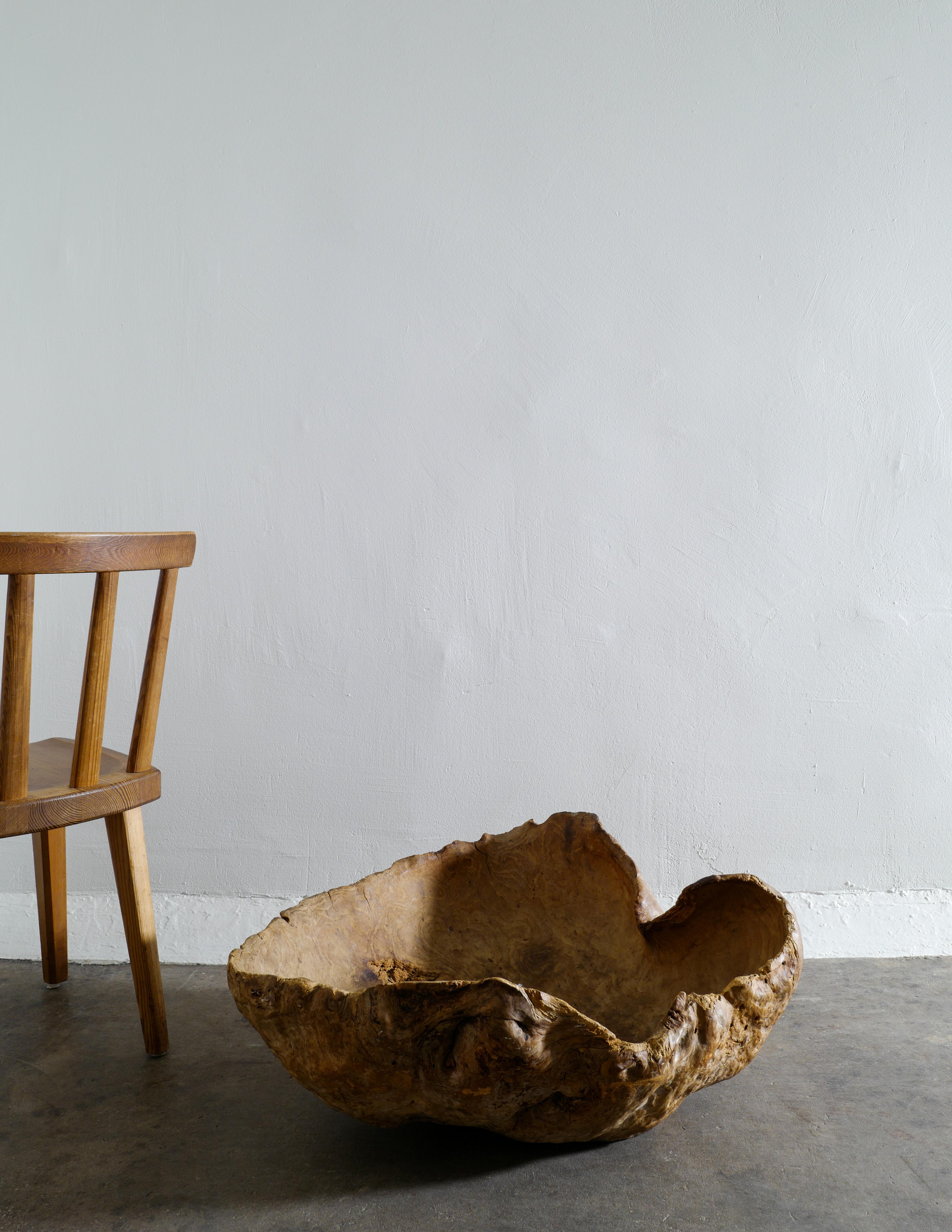 Massive Wabi Sabi Primitive Root Bowl in Birch Produced in Sweden Early 1900s 2