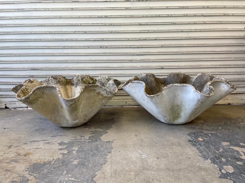 Massive sculptural biomorphic cement planter by Willy Guhl. Gorgeous planter for indoors or outside. Excellent patina. Multiples available. Priced individually.
 
  