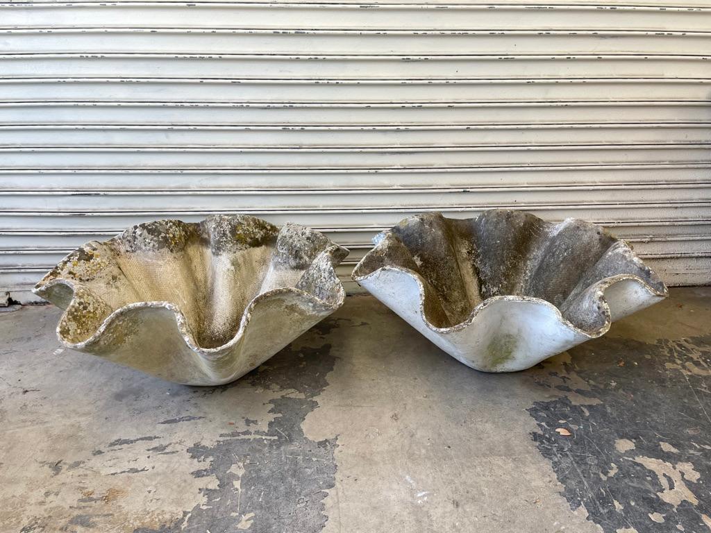 Mid-20th Century Massive Willy Guhl Biomorphic Planter For Sale