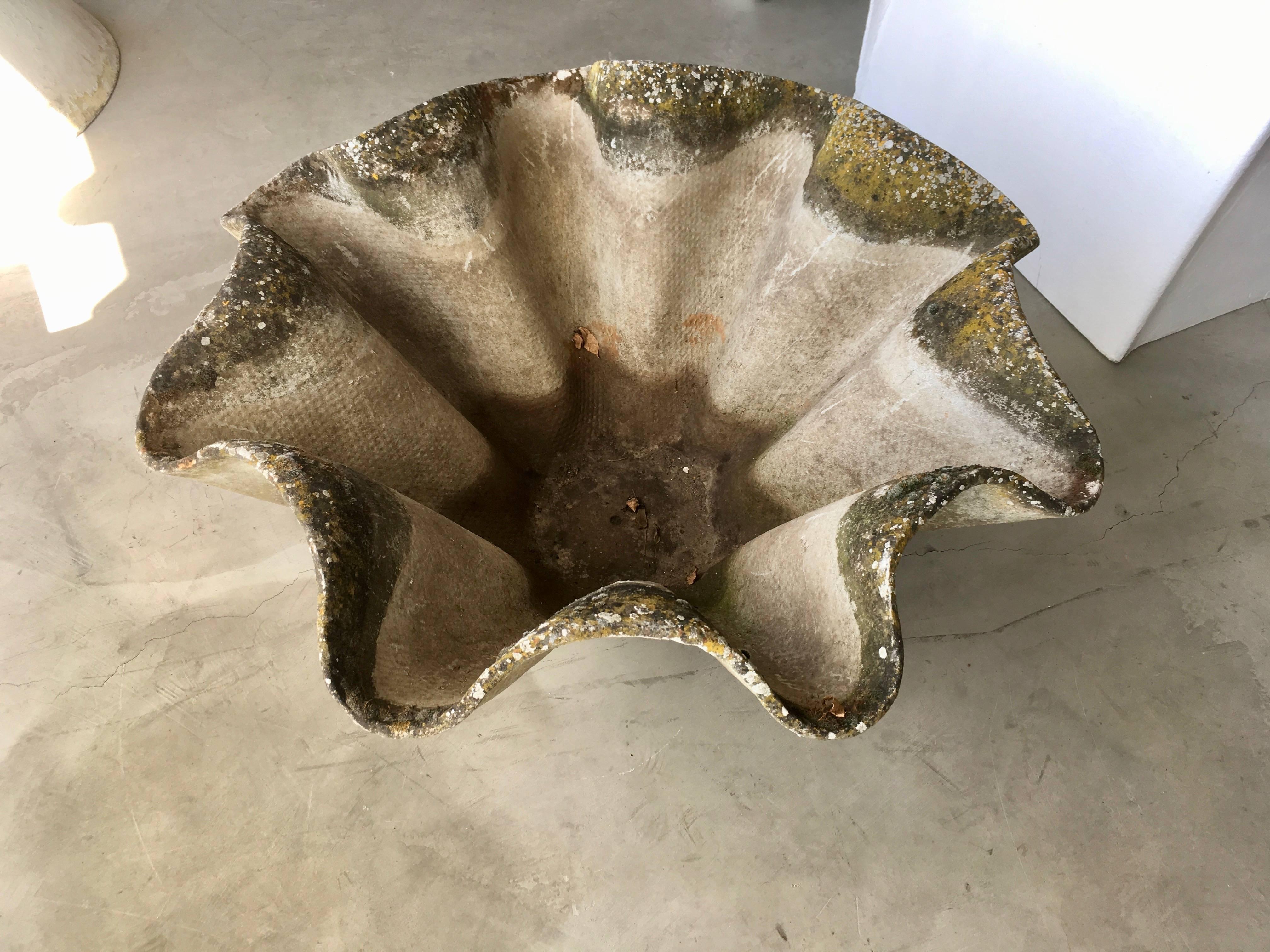 Massive sculptural biomorphic cement planter by Willy Guhl. Gorgeous planter for indoors or outside. Excellent patina. Only a few this size available for sale anywhere. 9 available. Priced individually.  Matching smaller version available in
