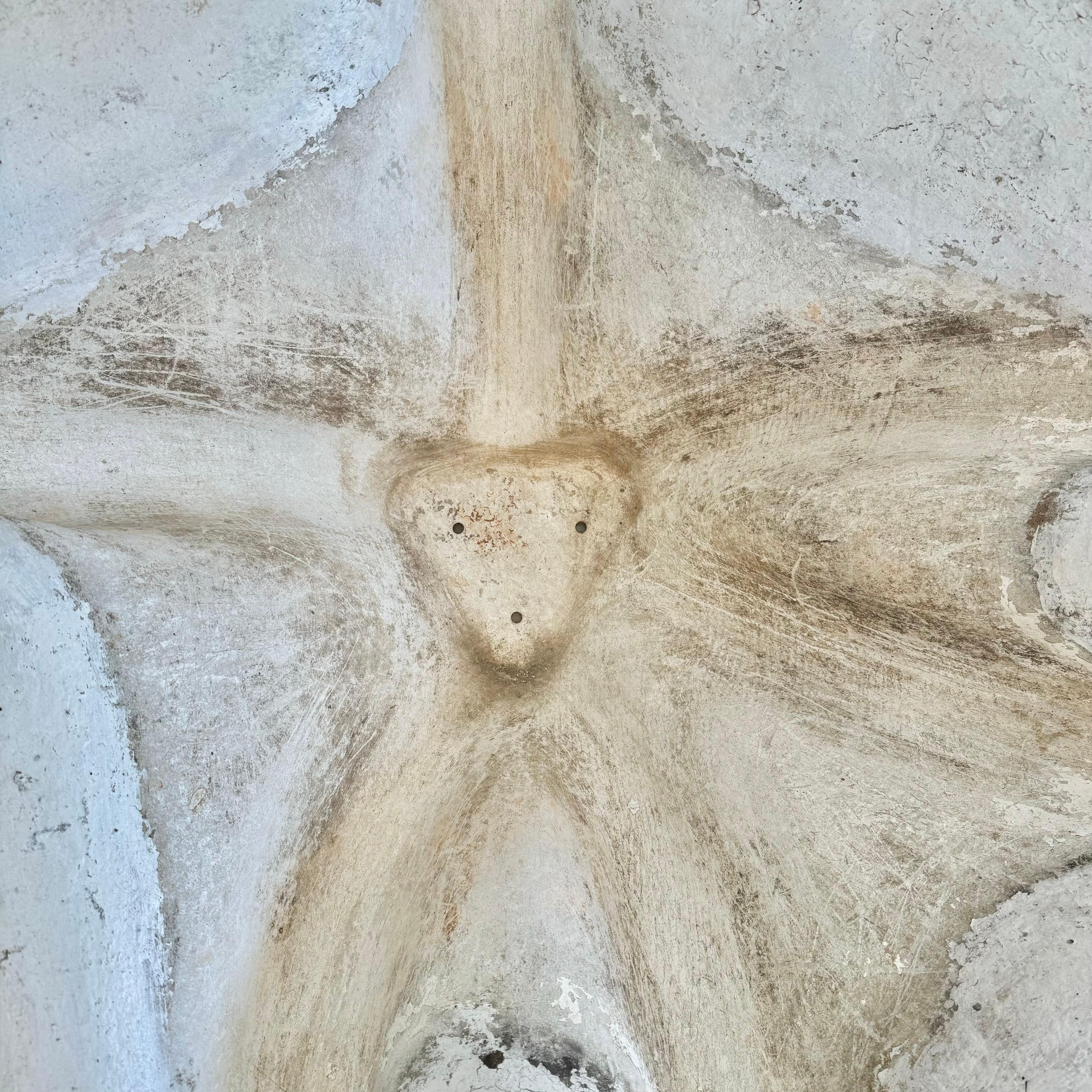 Jardinera masiva Willy Guhl con oreja de elefante, Suiza, años 60 en venta 11