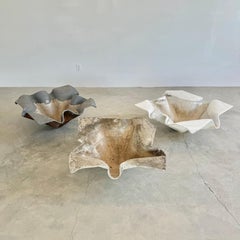 Massive Willy Guhl Elephant Ear Planter, 1960s Switzerland