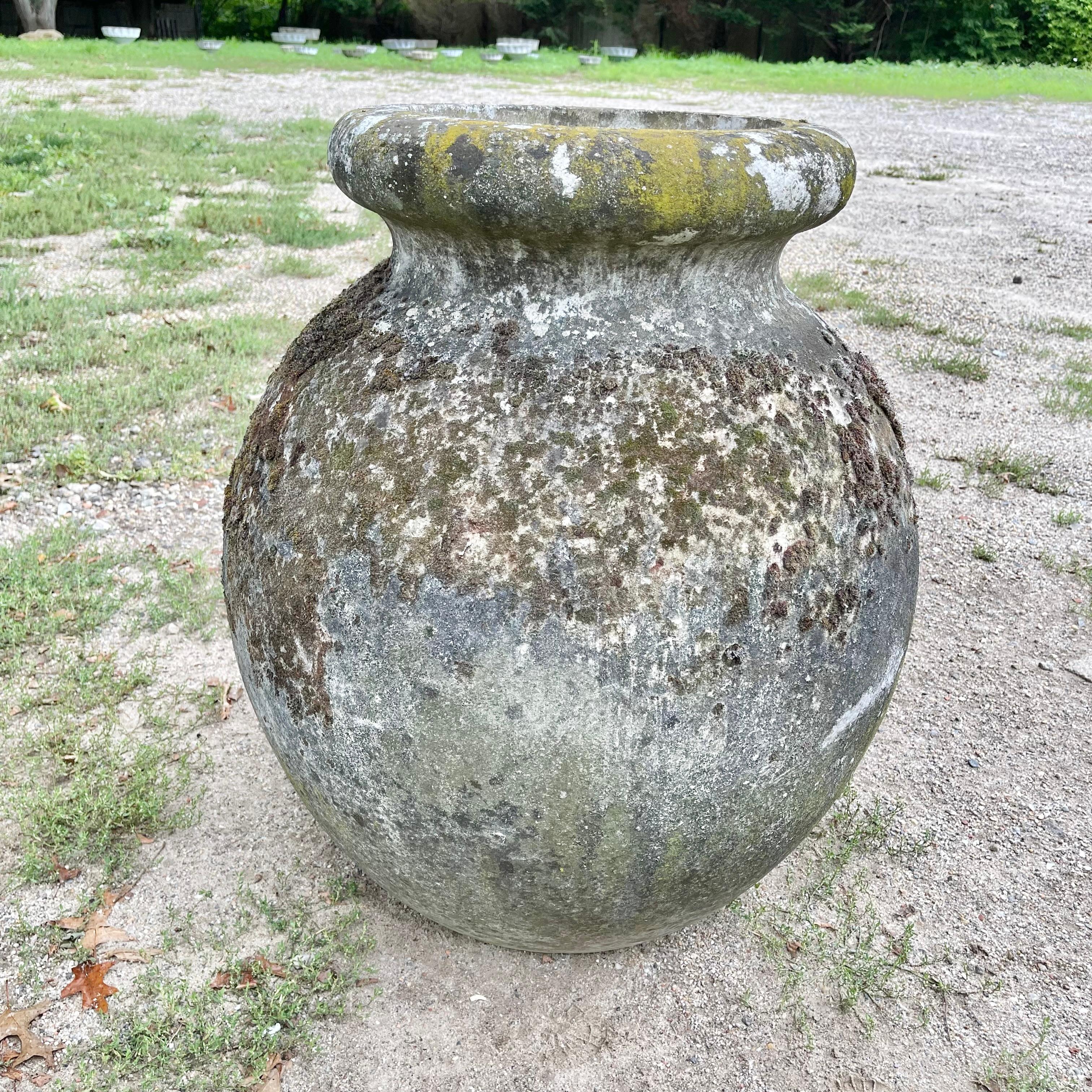 Oversized concrete olive jar planter by Willy Guhl with great patina and prominent presence. Simple and elegant design perfect for any garden or patio. Excellent patina and vintage condition. Smaller option shown for scale, available in separate