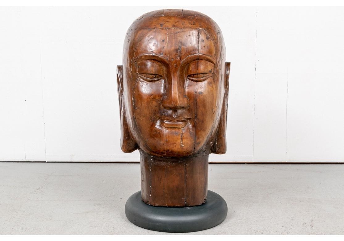 A very large and iconic Bust of the Smiling Buddha. Made from sectioned, stained and waxed wood and mounted on a circular black cast resin base. The Buddha stares ahead in contemplation with dreamy, lidded eyes and his delightful enigmatic smile.