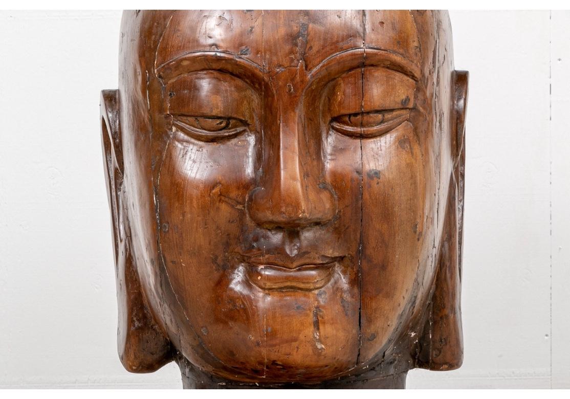 Mid-Century Modern Massive Wood Bust of the Serene Buddha