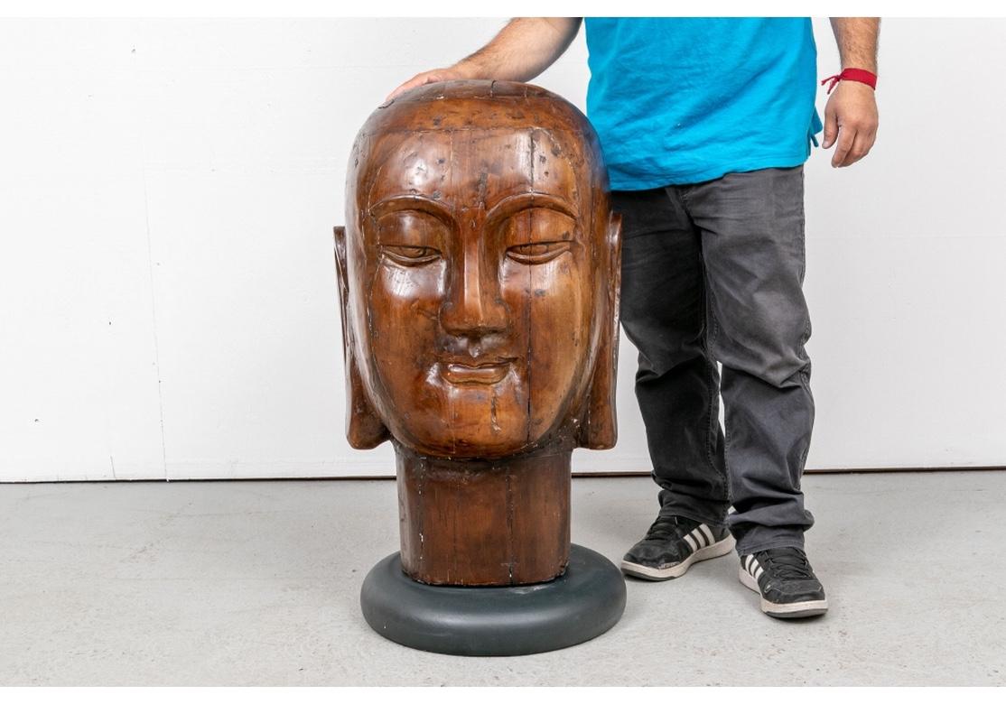 20th Century Massive Wood Bust of the Serene Buddha