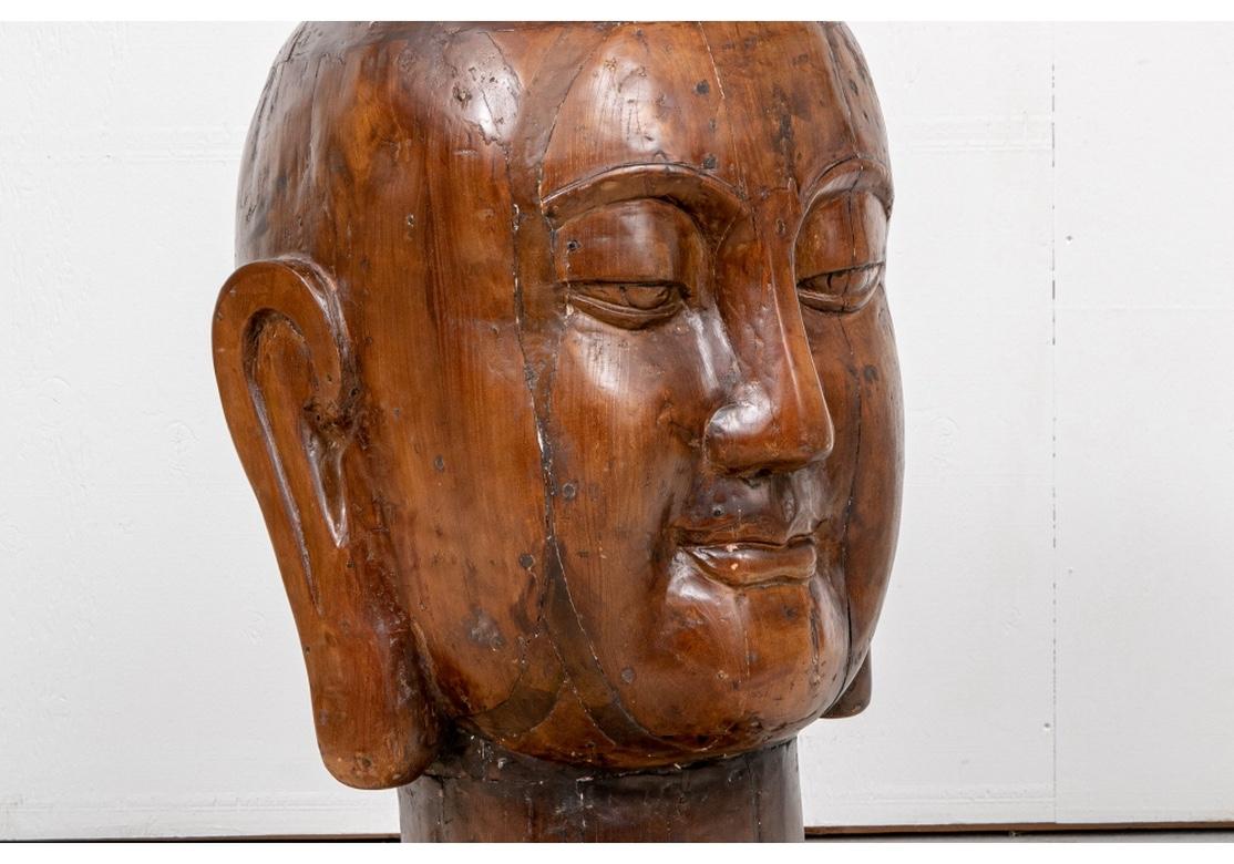 Massive Wood Bust of the Serene Buddha 3