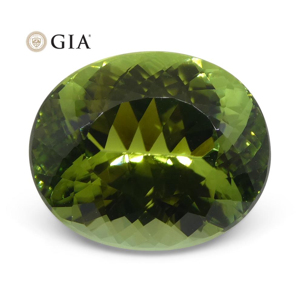 Master Cut 9.30ct Oval Mint Green Verdelite Tourmaline, GIA Certified For Sale 4