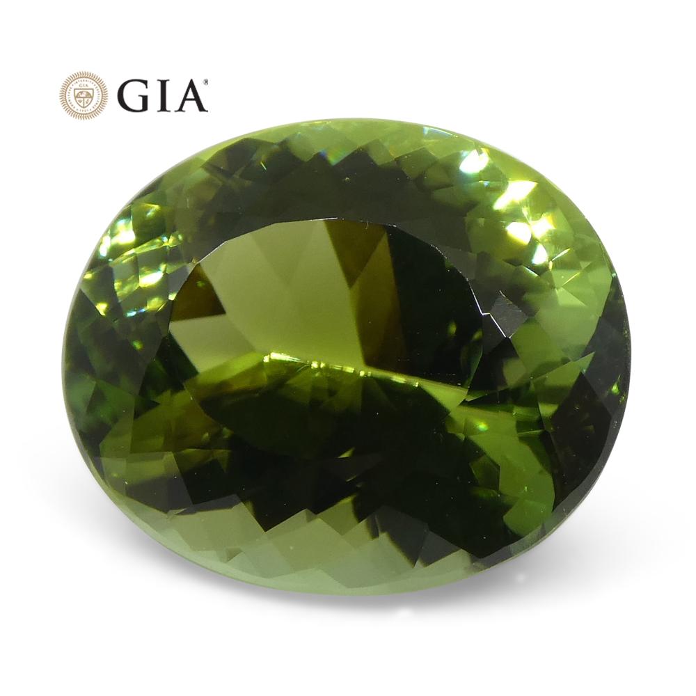 Master Cut 9.30ct Oval Mint Green Verdelite Tourmaline, GIA Certified For Sale 6
