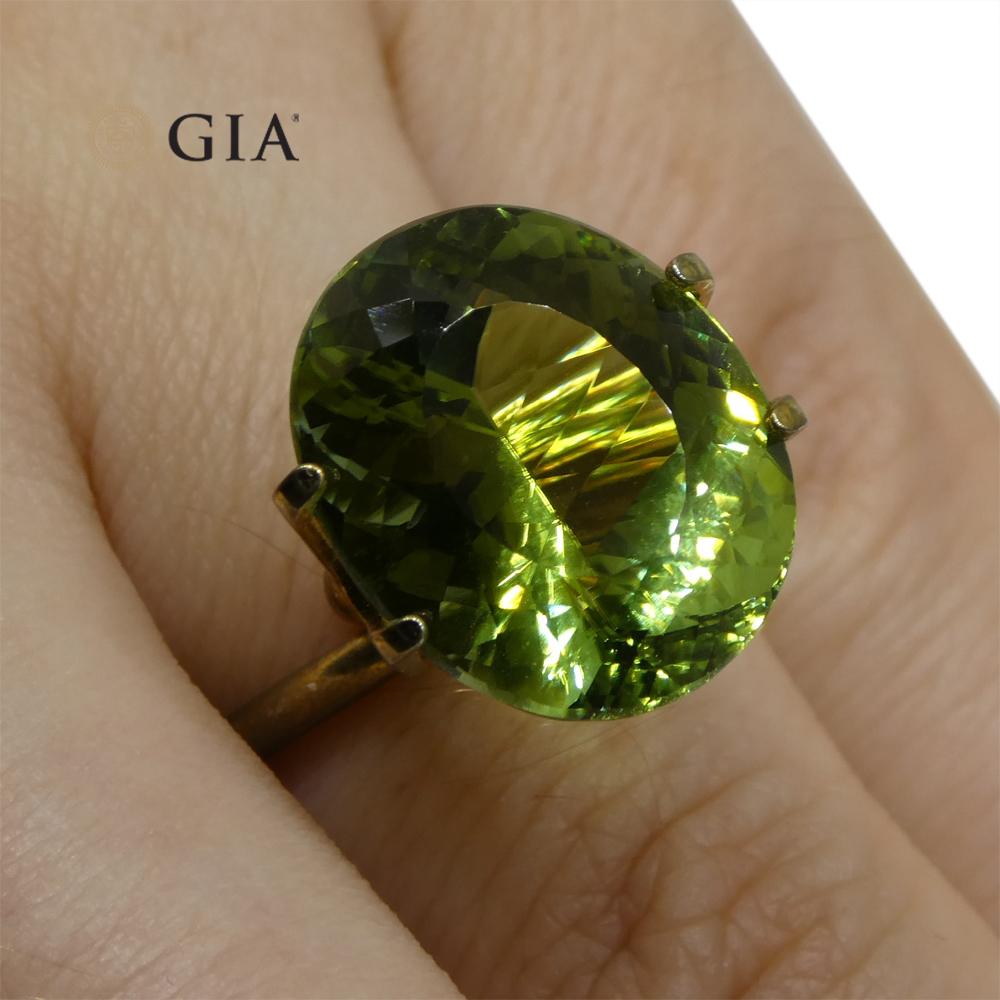 Master Cut 9.30ct Oval Mint Green Verdelite Tourmaline, GIA Certified For Sale 8