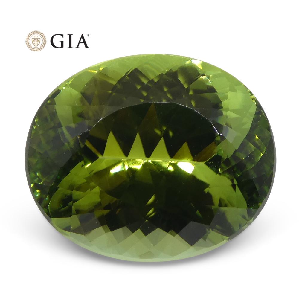 Master Cut 9.30ct Oval Mint Green Verdelite Tourmaline, GIA Certified For Sale 9