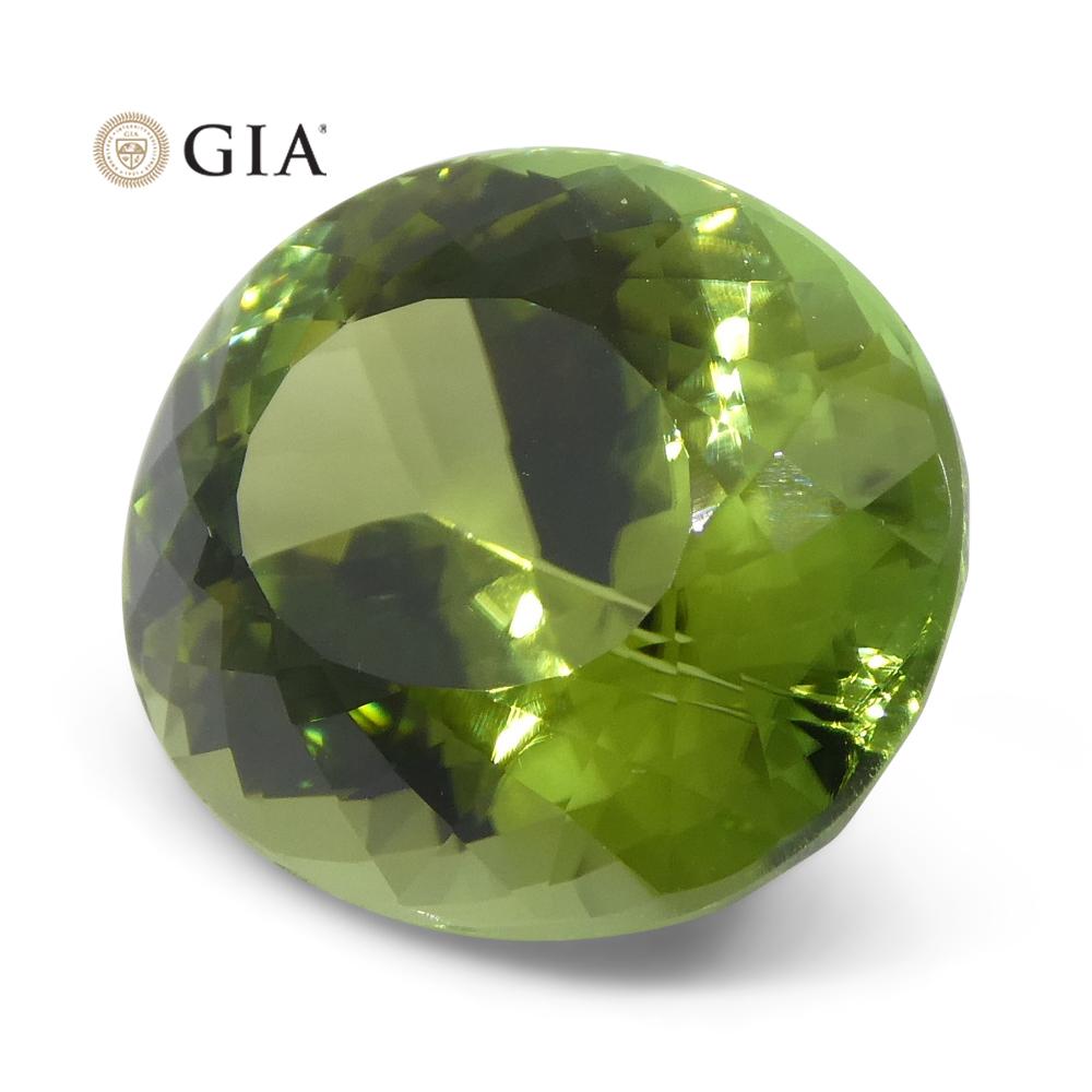 Tourmaline Verdelite vert menthe ovale taille maître de 9,30 carats, certifiée GIA en vente 11