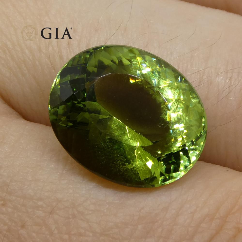 Taille brillant Tourmaline Verdelite vert menthe ovale taille maître de 9,30 carats, certifiée GIA en vente