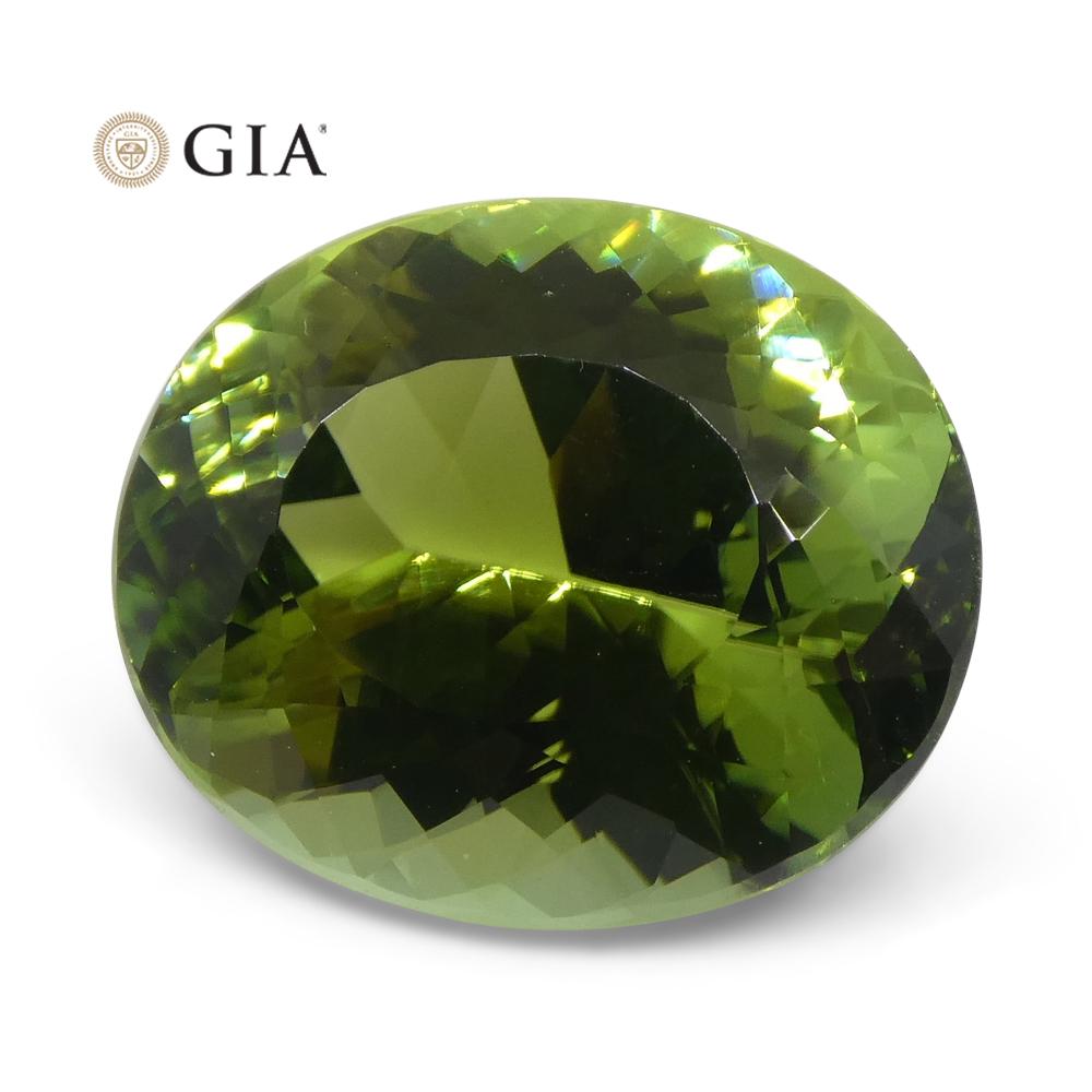 Women's or Men's Master Cut 9.30ct Oval Mint Green Verdelite Tourmaline, GIA Certified For Sale