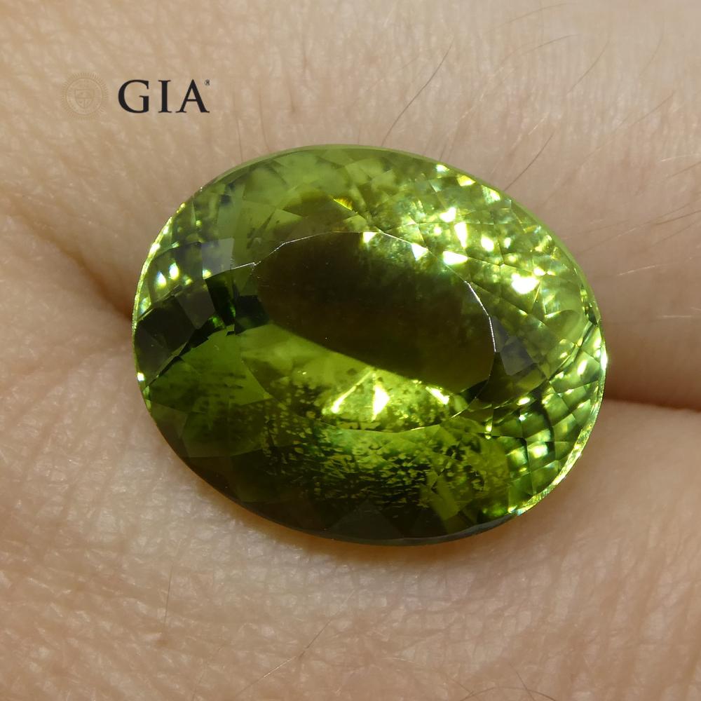 Tourmaline Verdelite vert menthe ovale taille maître de 9,30 carats, certifiée GIA en vente 3