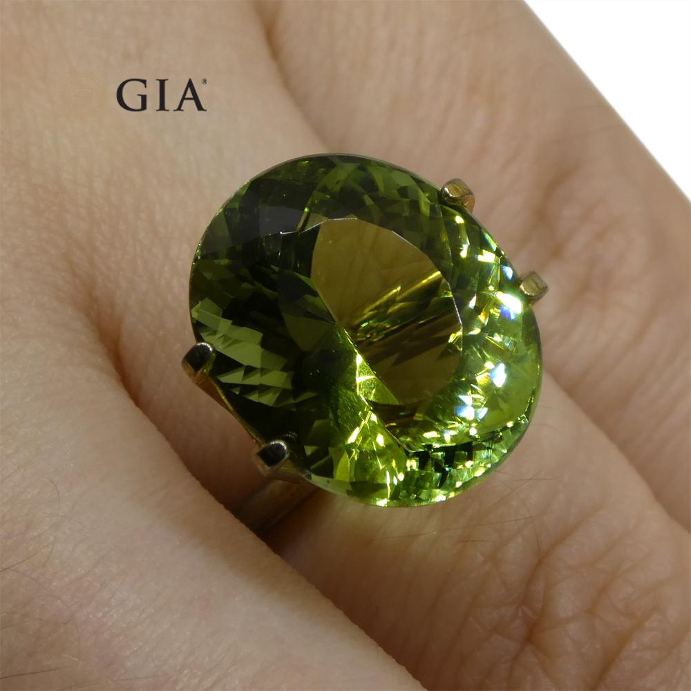 Master Cut 9.30ct Oval Mint Green Verdelite Tourmaline, GIA Certified For Sale 3