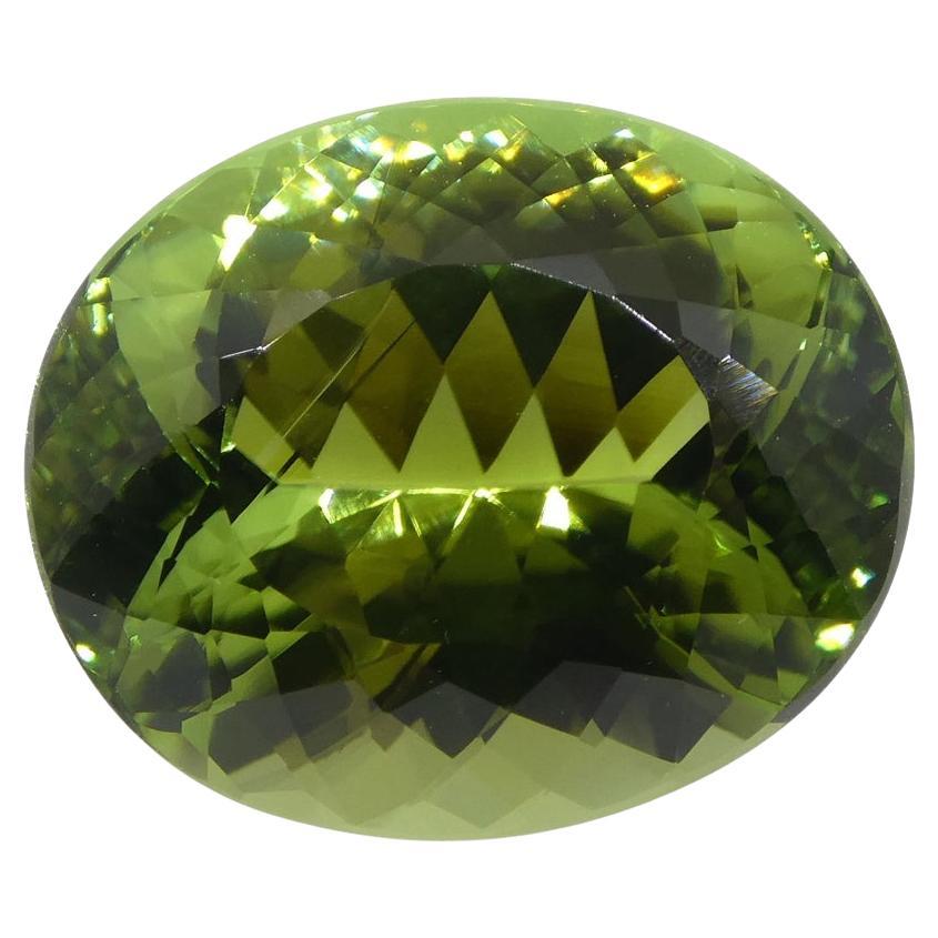 Master Cut 9.30ct Oval Mint Green Verdelite Tourmaline, GIA Certified For Sale