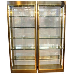 Mastercraft Vitrines with Glass Shelves and Illuminated Interior