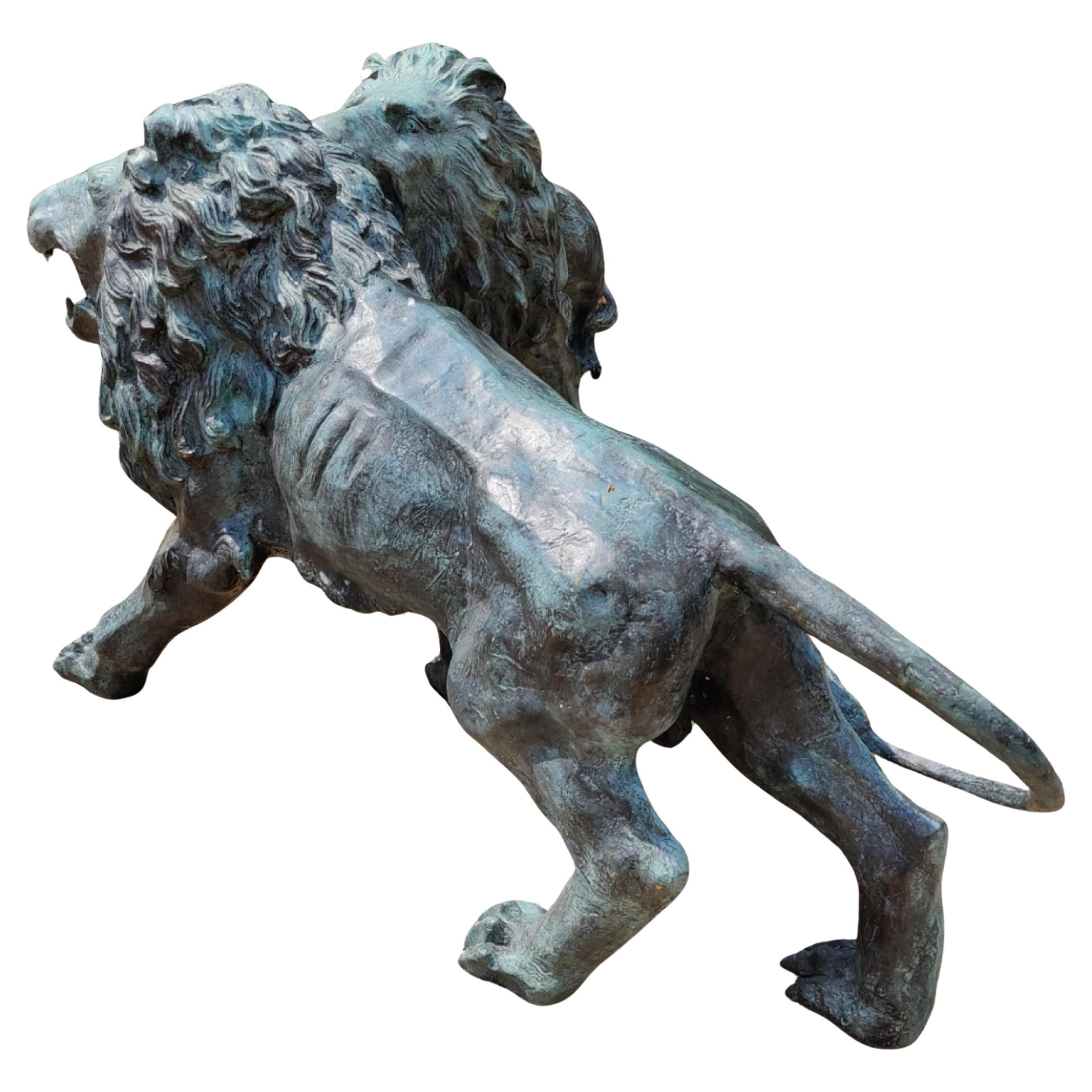 Bronzo Coppia magistrale di leoni italiani in bronzo dei primi del Novecento in vendita