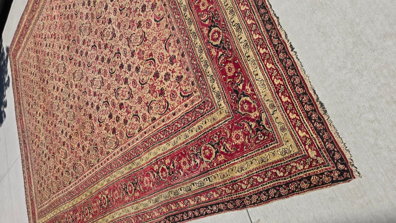 Obra maestra Alfombra Agra rojo rubí Circa 1900s principios del siglo XX en venta