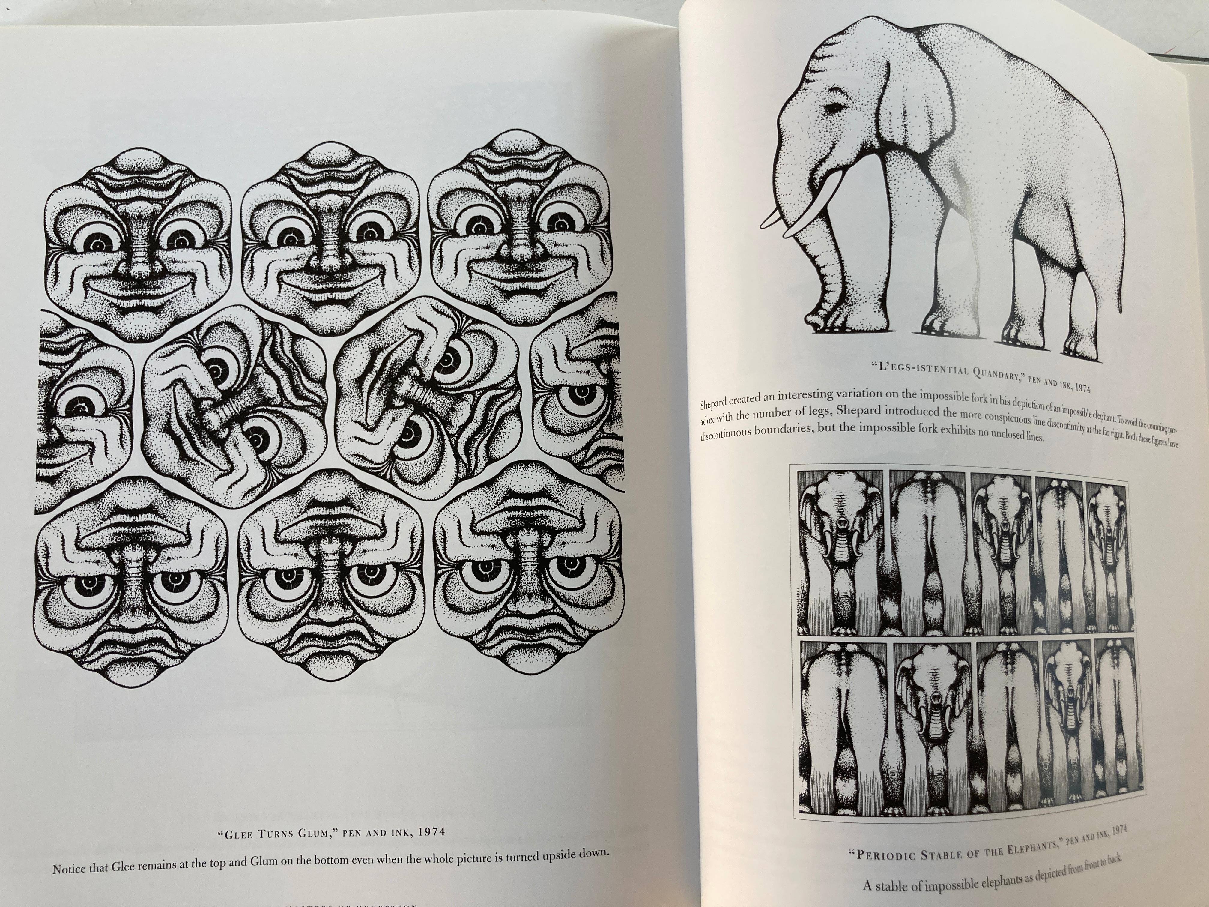 Masters of Deception Escher, Dali, and the Artists of Optical Illusion Book 6