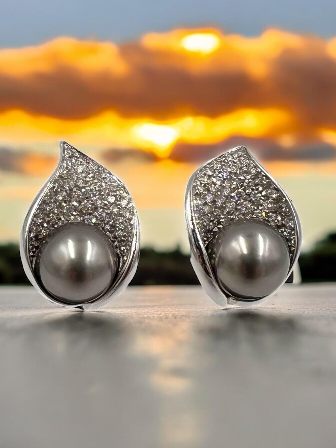 Mastoloni Tahitian pearl and diamond white gold earrings.

  These unusual Mastoloni clam-shell designed diamond pave earrings are each nestled with a Tahitian pearl.  All made in 18k white gold.  The lustrous silver grey 9 mm Tahitian pearls are