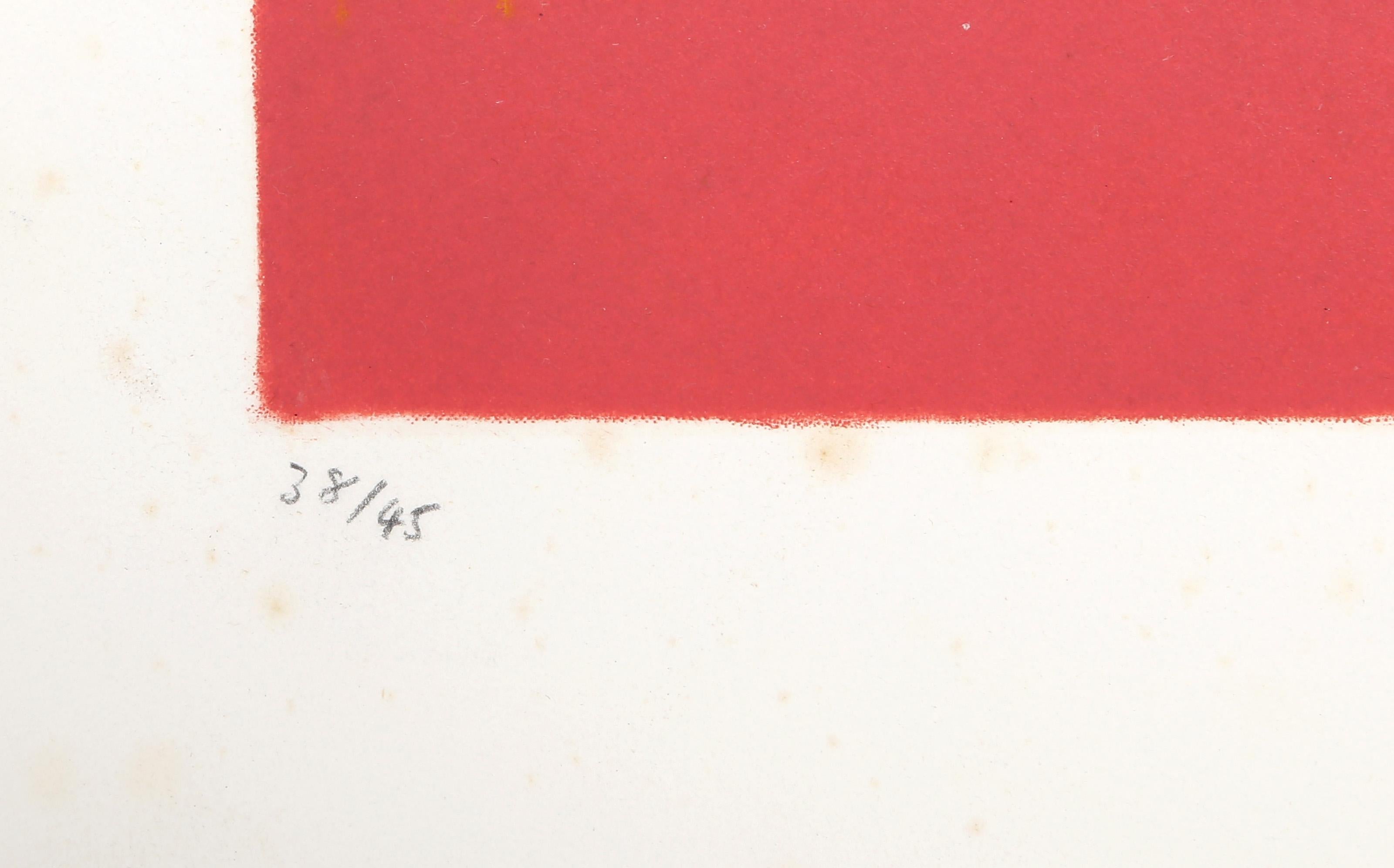 La Sirene, aguafuerte y aguatinta japoneses de desnudo surrealista de Masuo Ikeda en venta 2