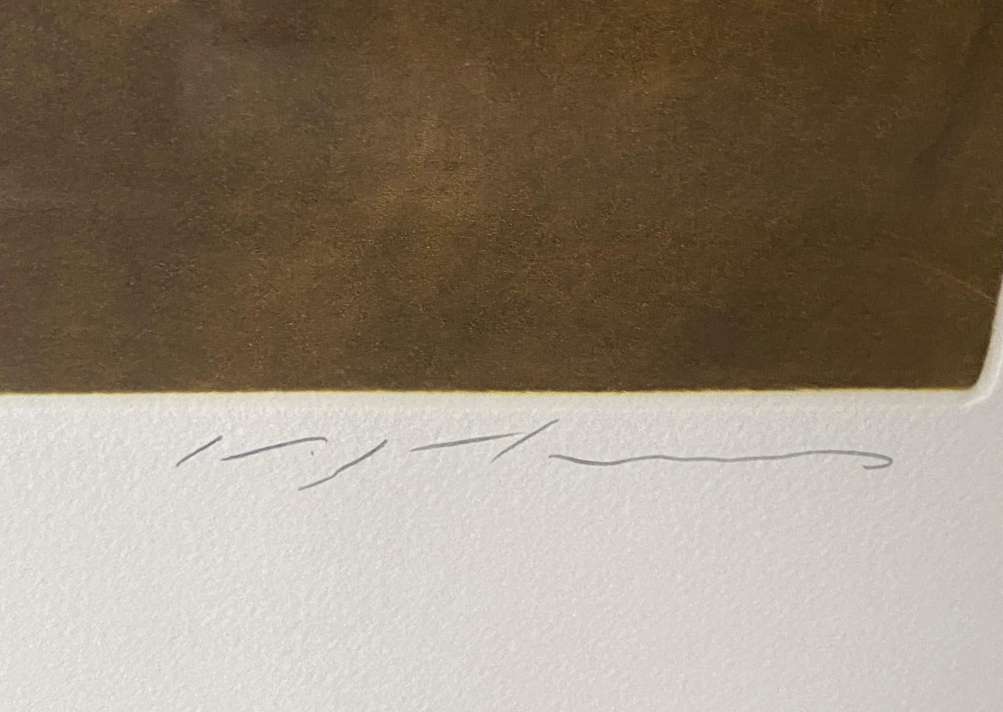 Masuo Ikeda Signé Edition Limitée Encadré Mezzotint Japonais Erotique Venus en vente 3