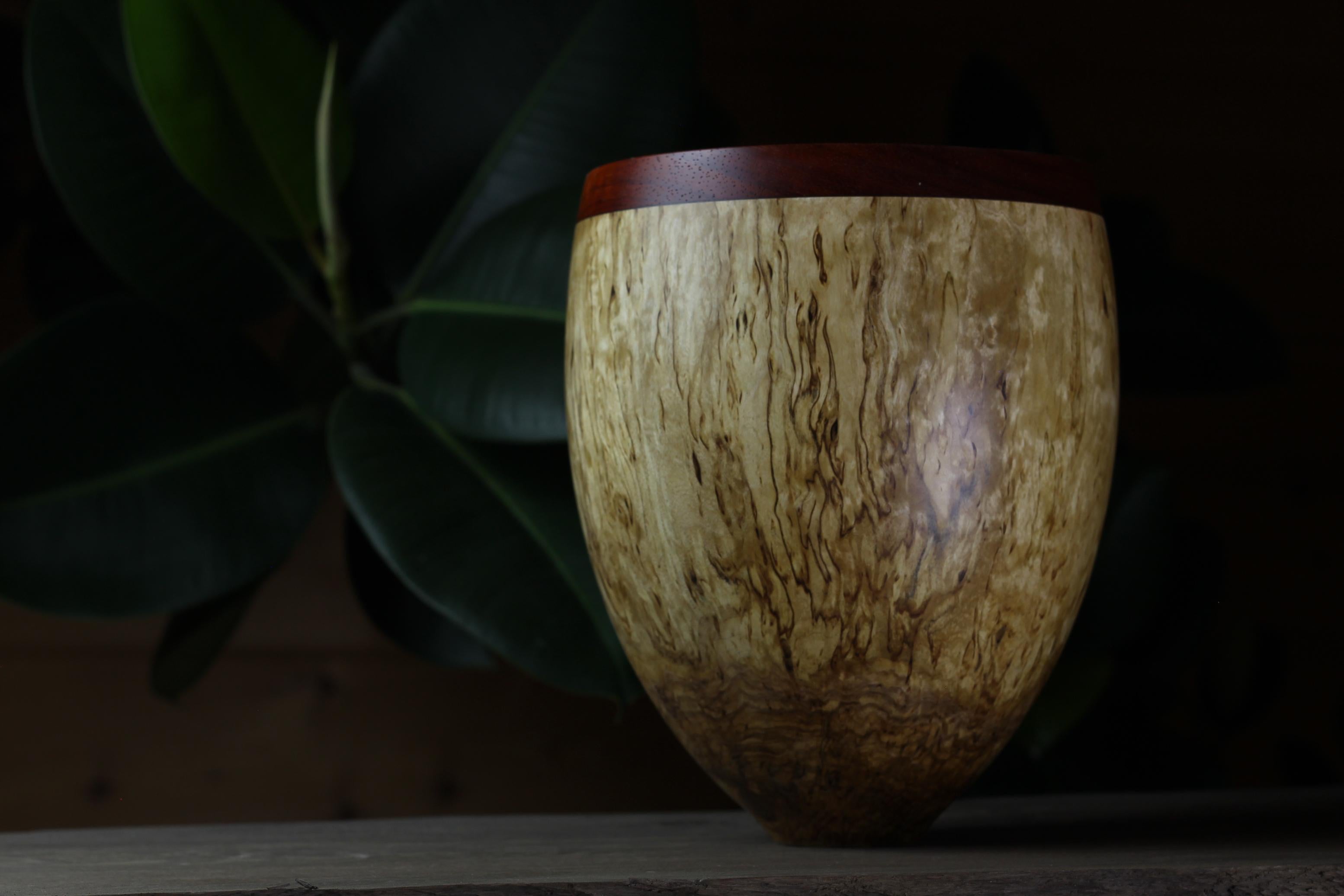 Other Masur Birch Bowl by Vlad Droz For Sale