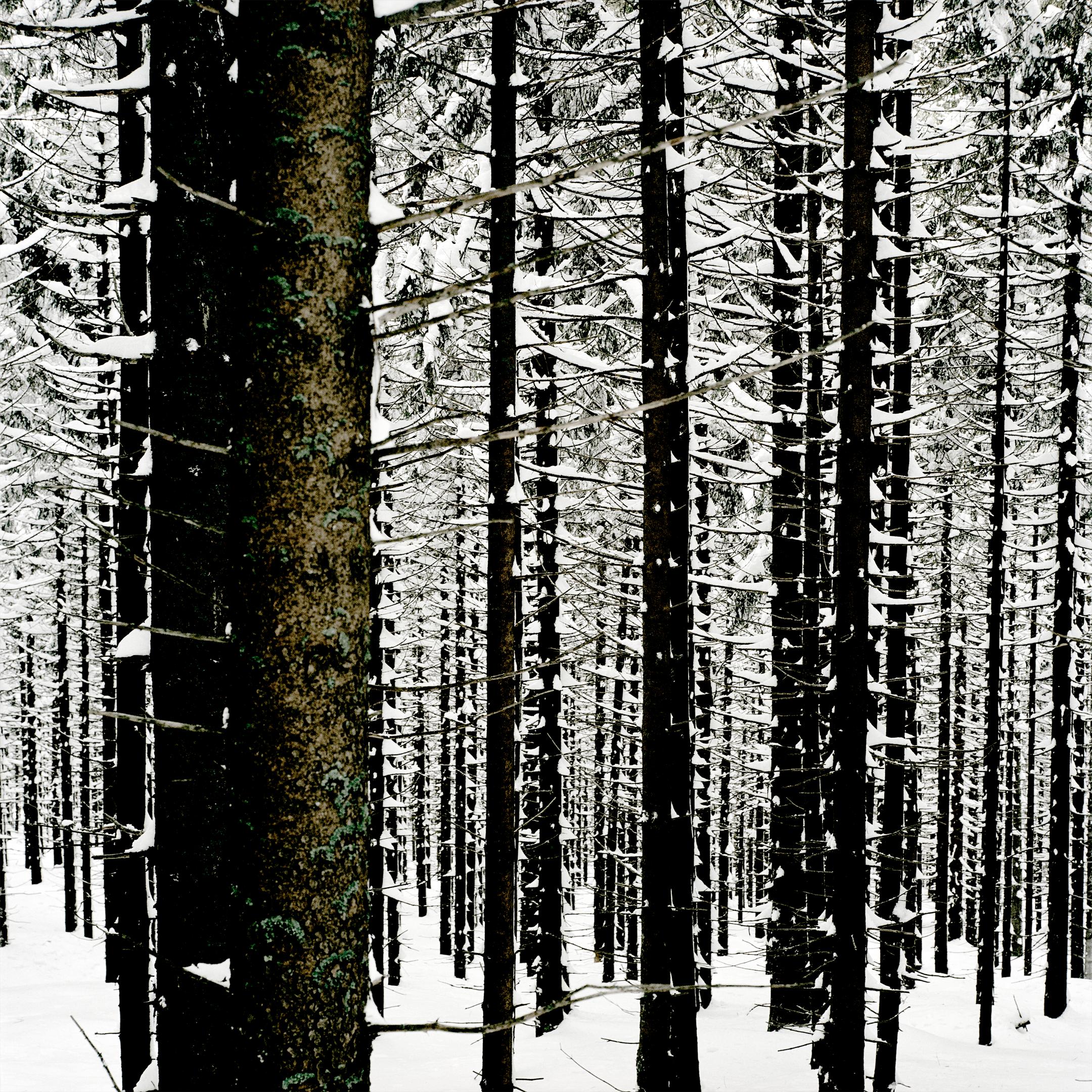Landscape Photograph Mat Hennek - CZ Cerchov 02
